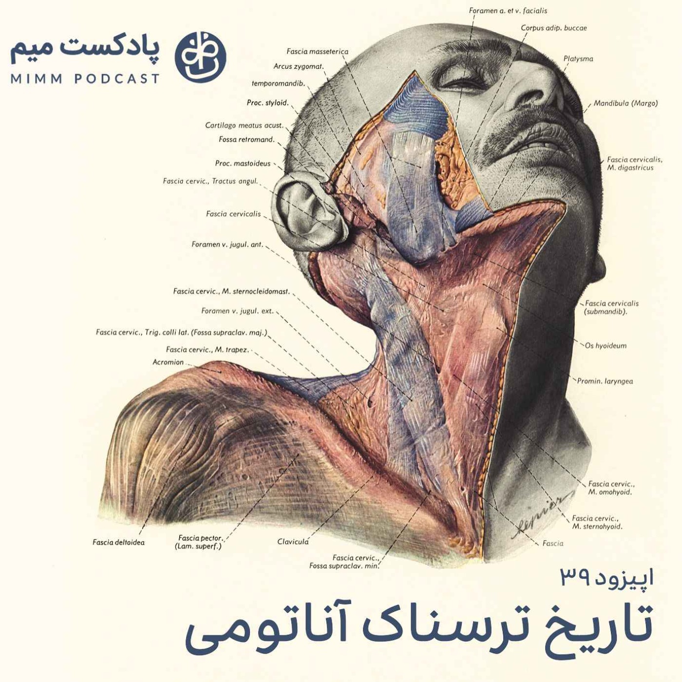 اپیزود سی و نهم: تاریخ ترسناک آناتومی