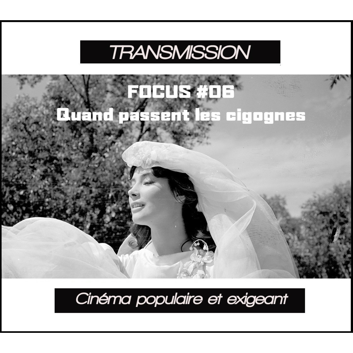 Transmission