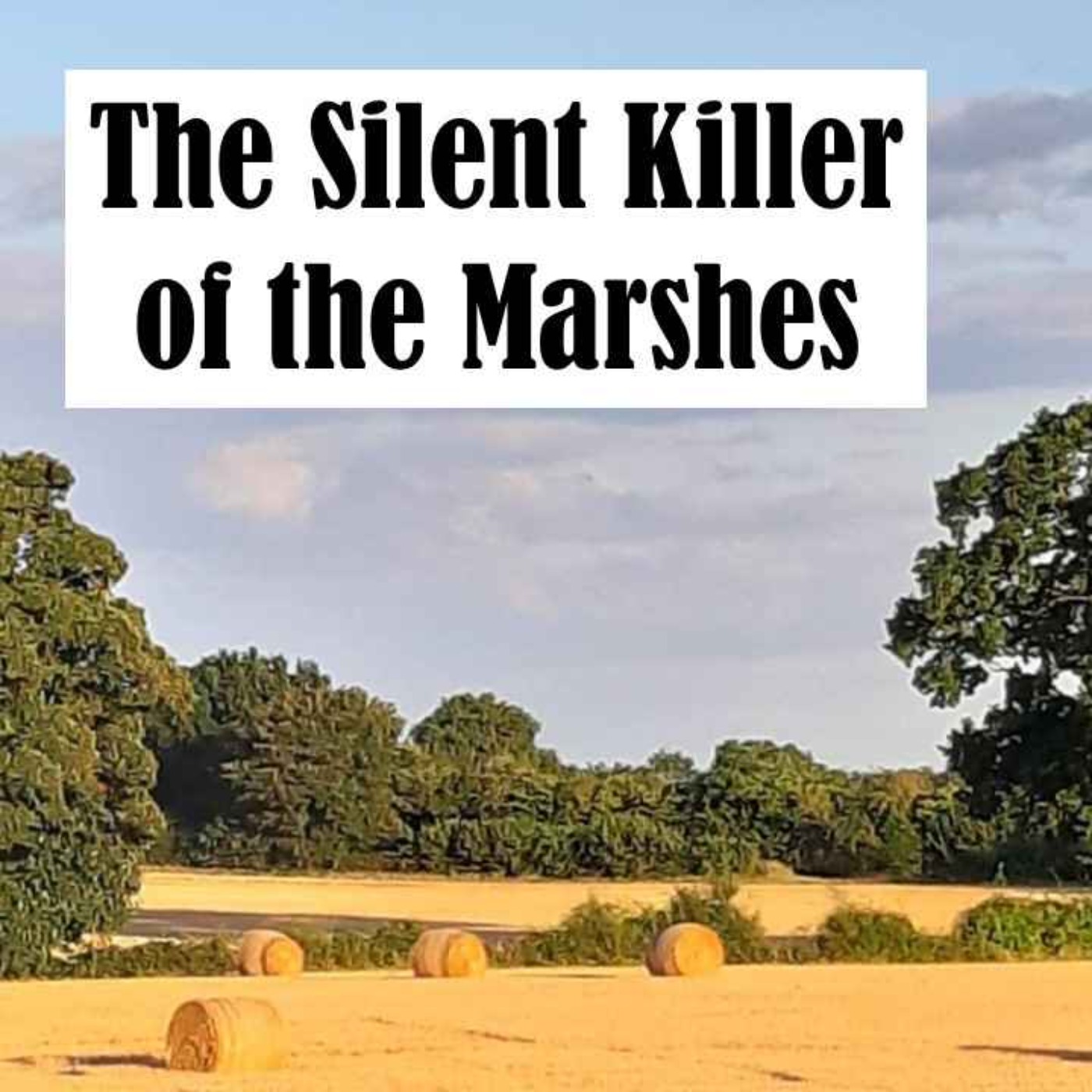 The Quiet Men of England: The Silent Killer of the Marshes