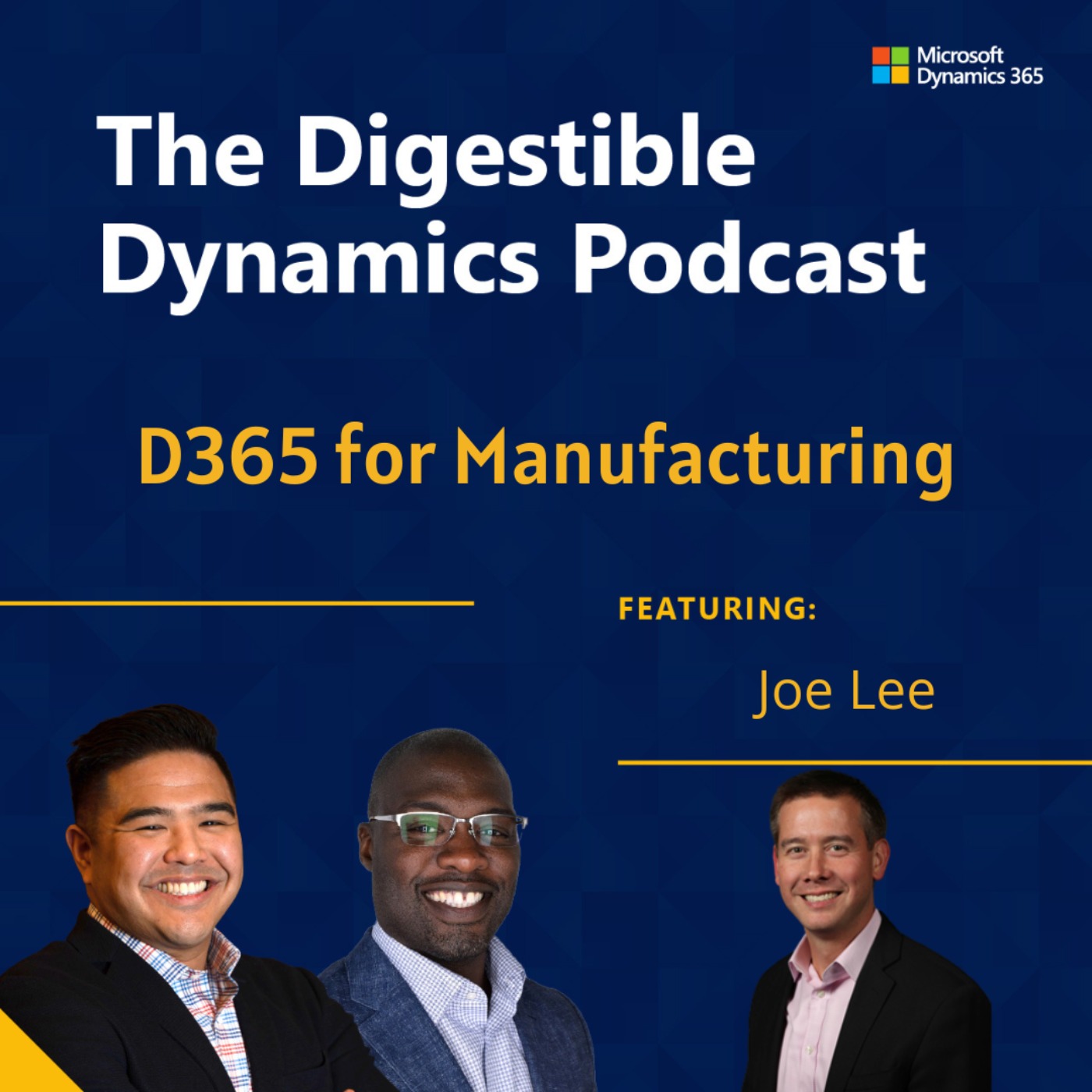 The Digestible Dynamics Podcast