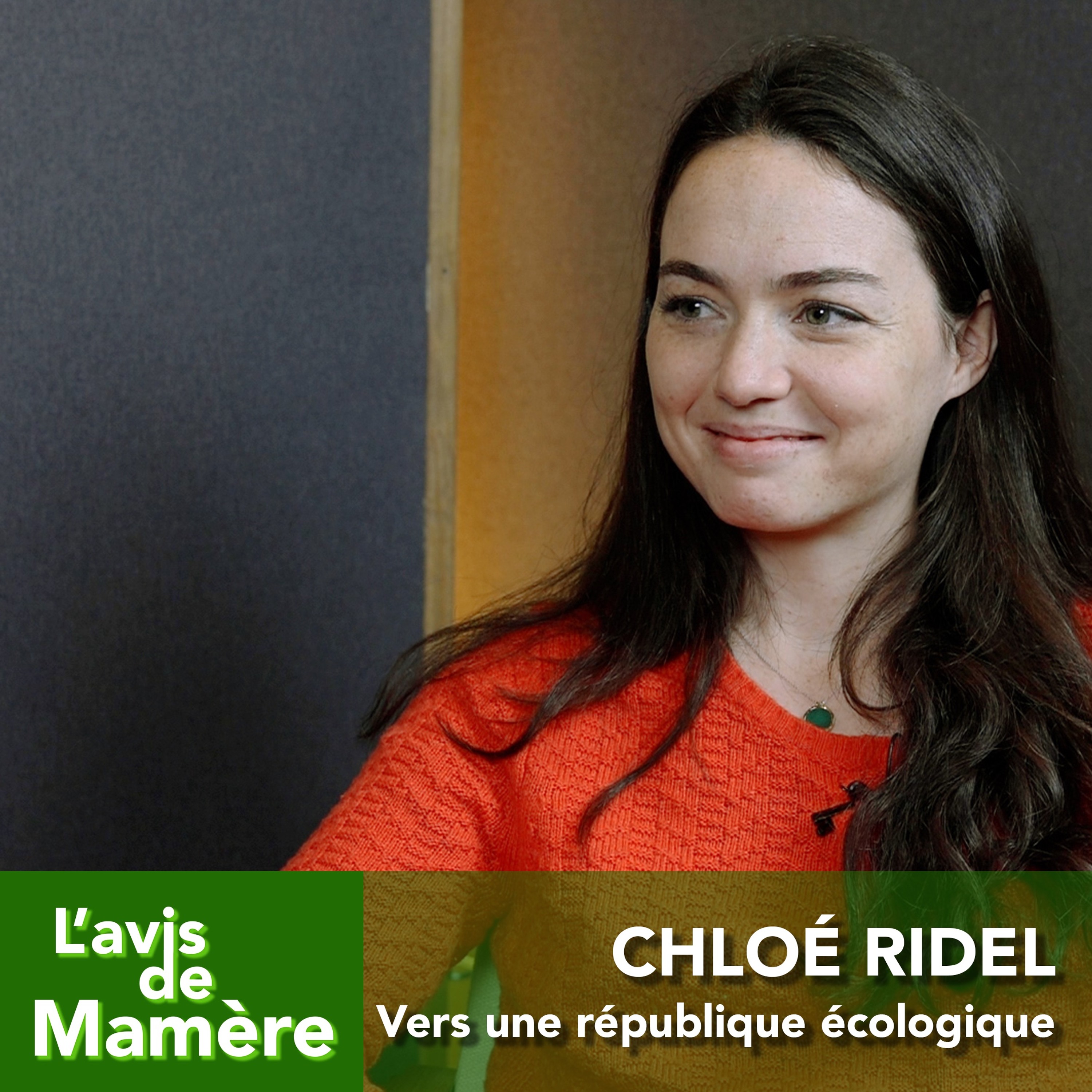 L\'avis de Mamère