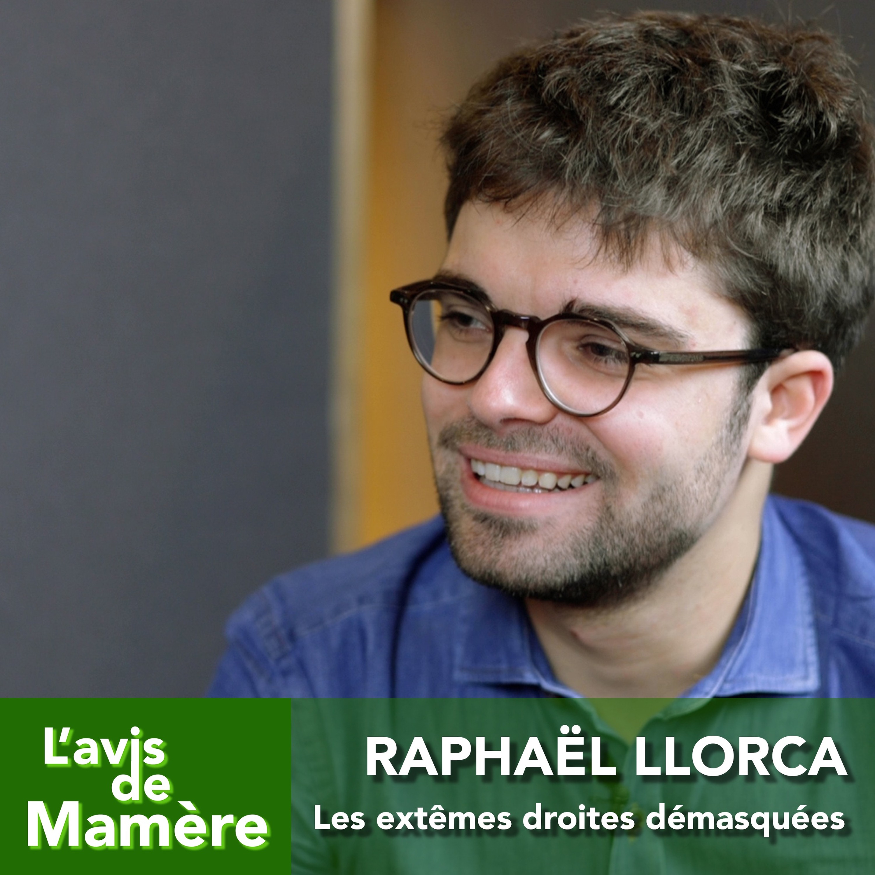 L\'avis de Mamère