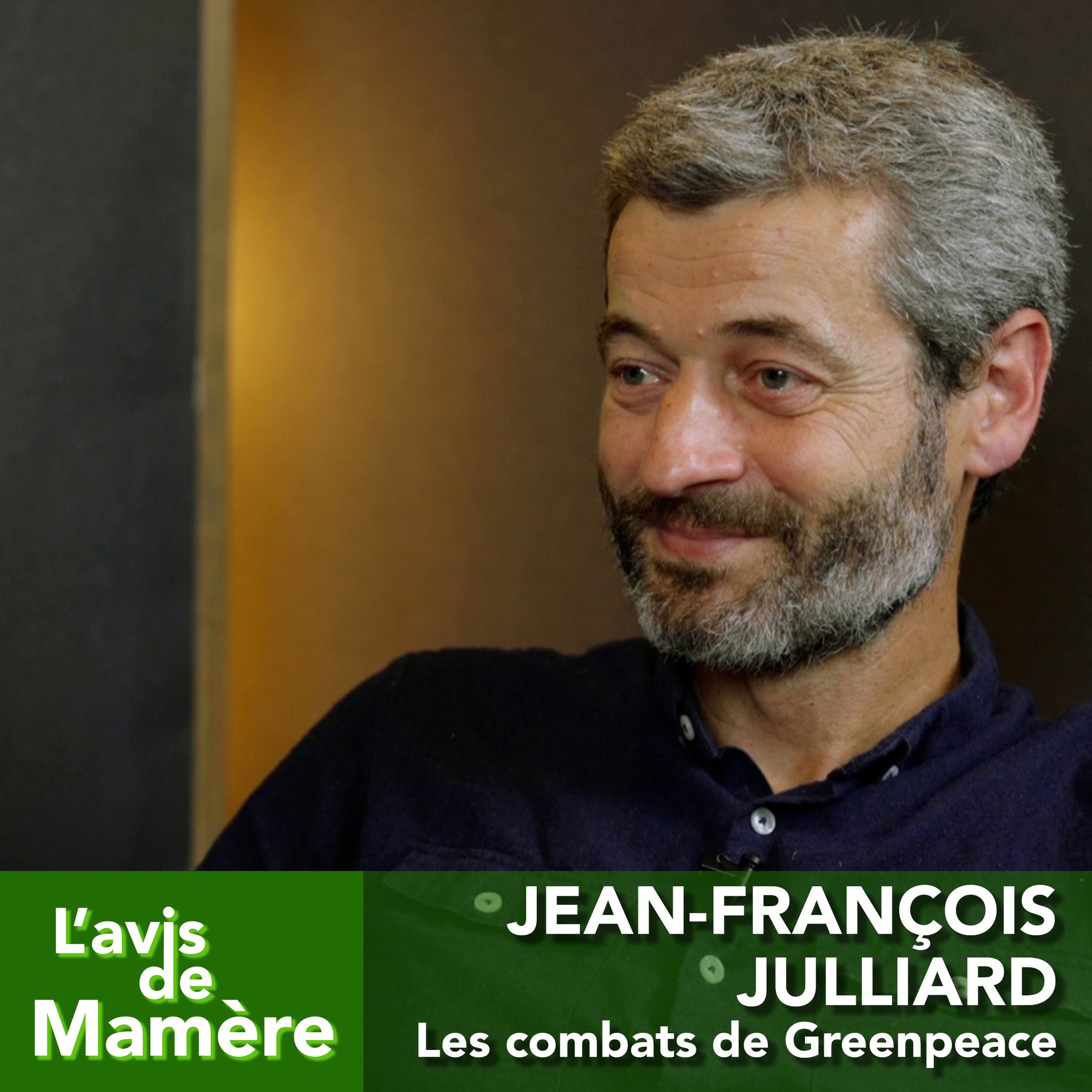L\'avis de Mamère