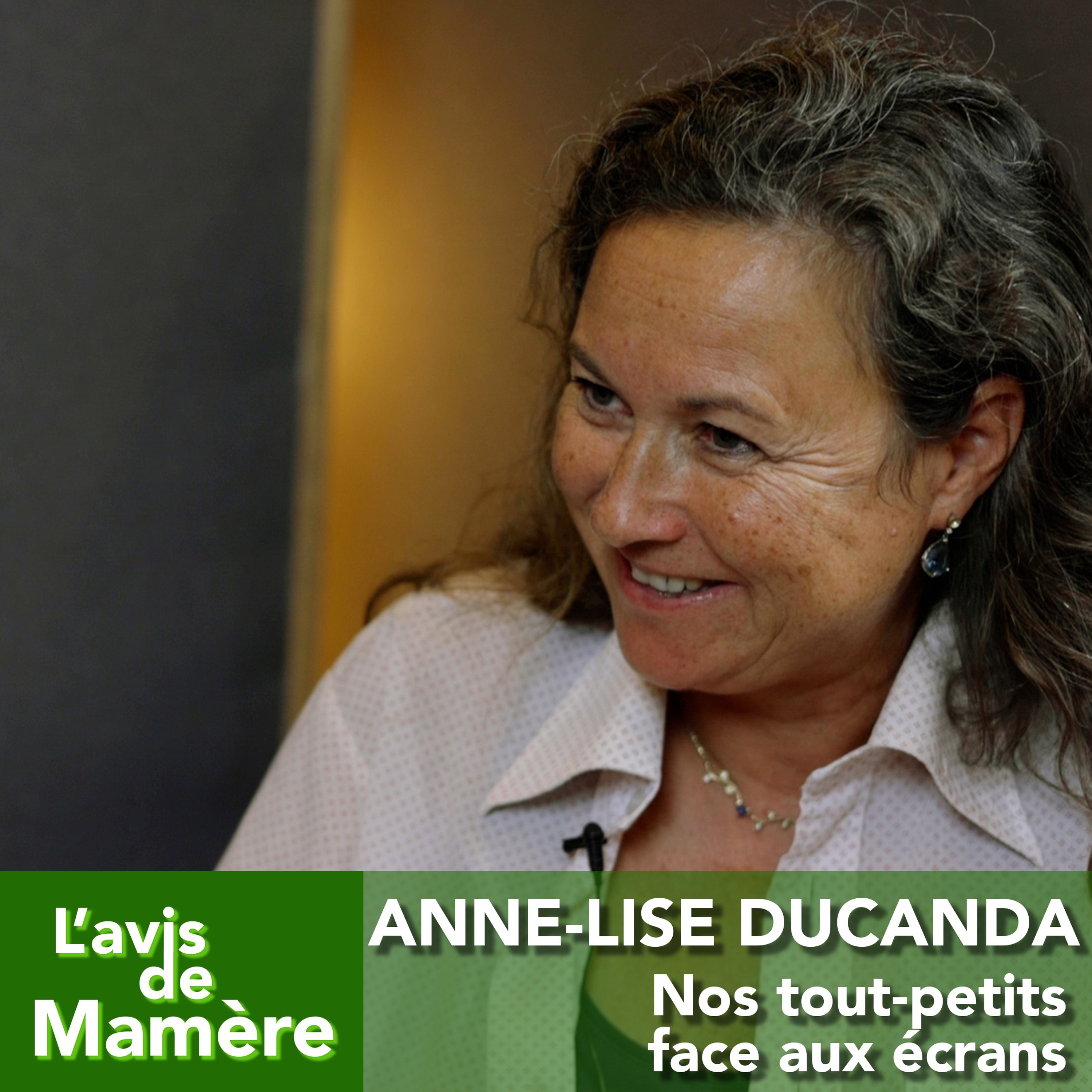 L\'avis de Mamère