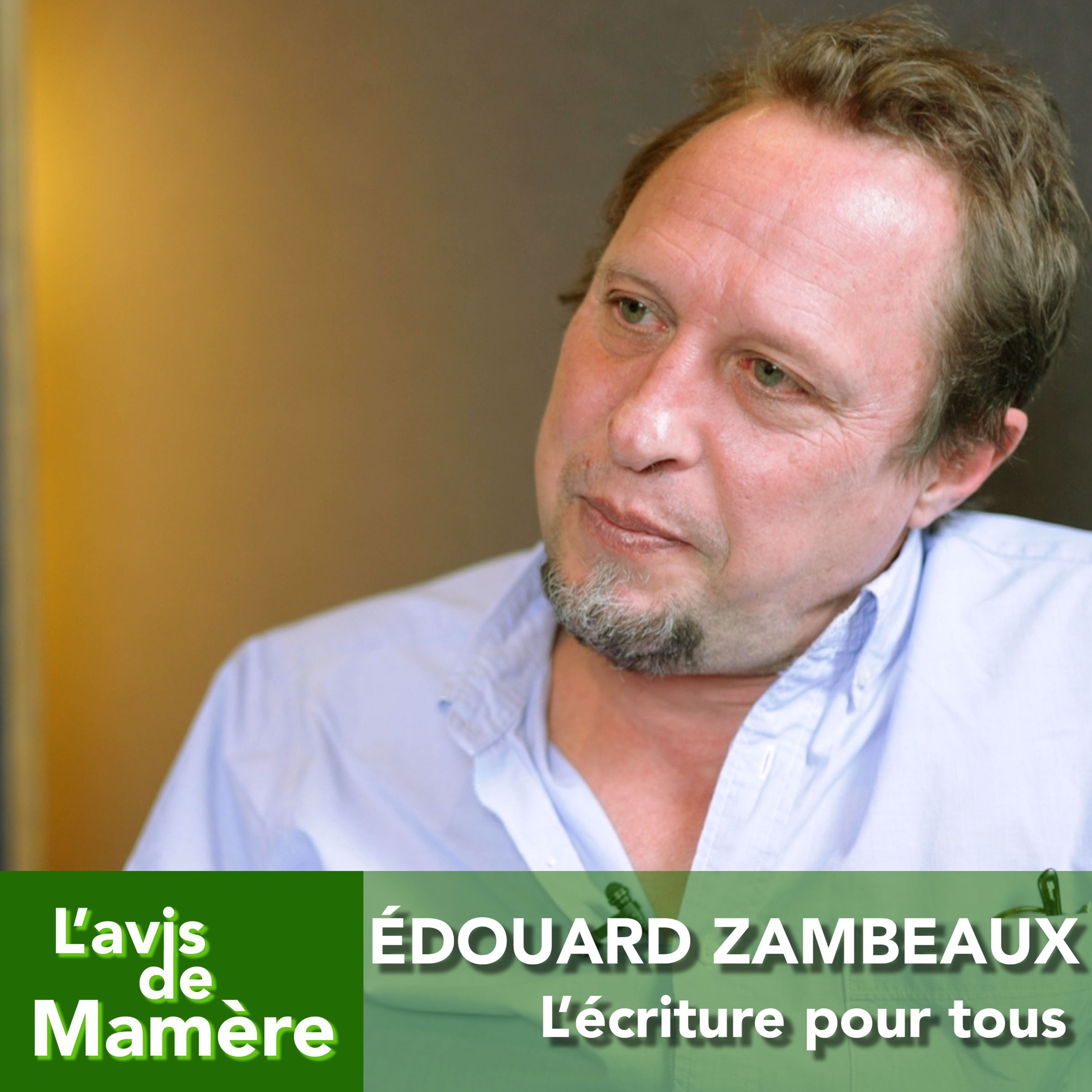 L\'avis de Mamère