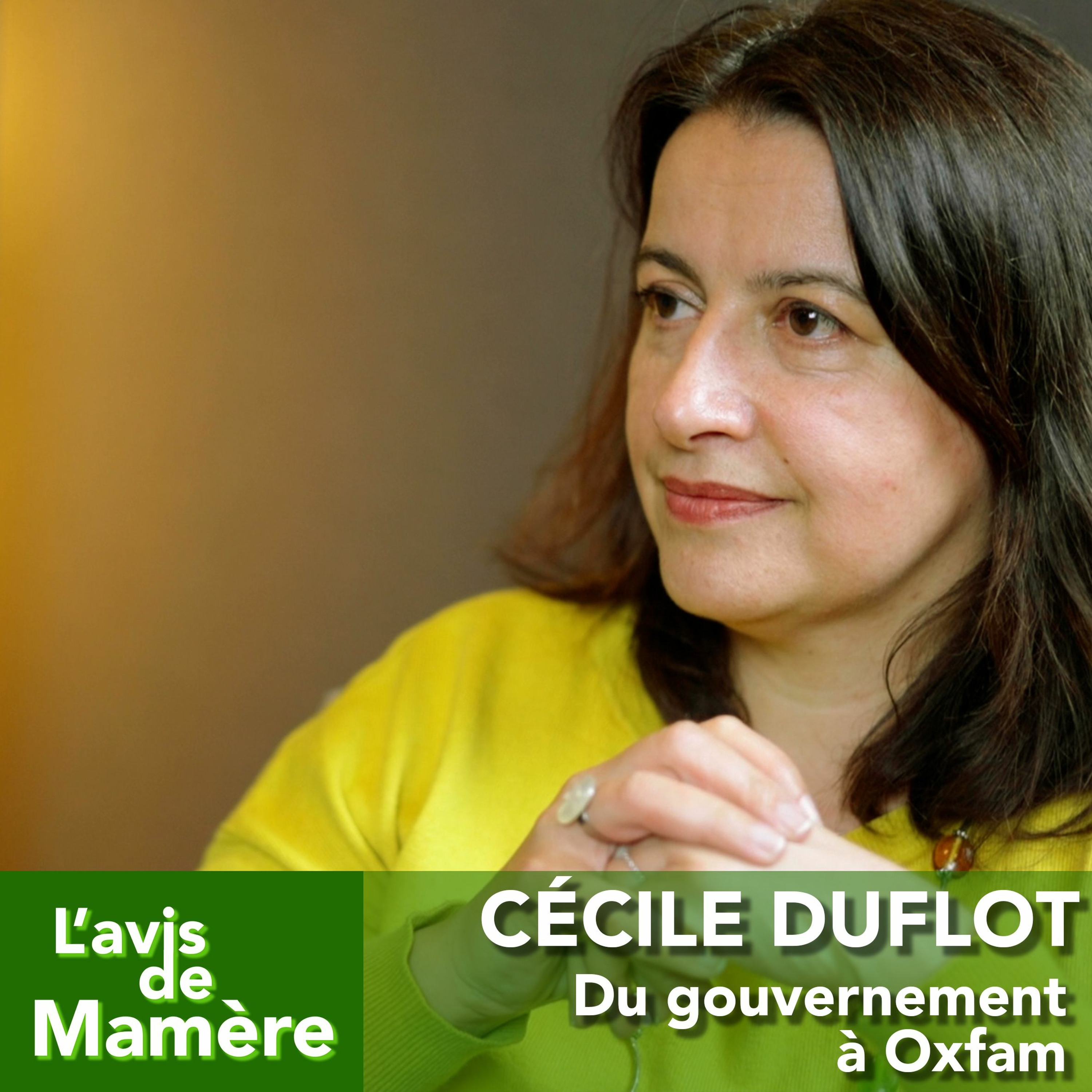 L\'avis de Mamère