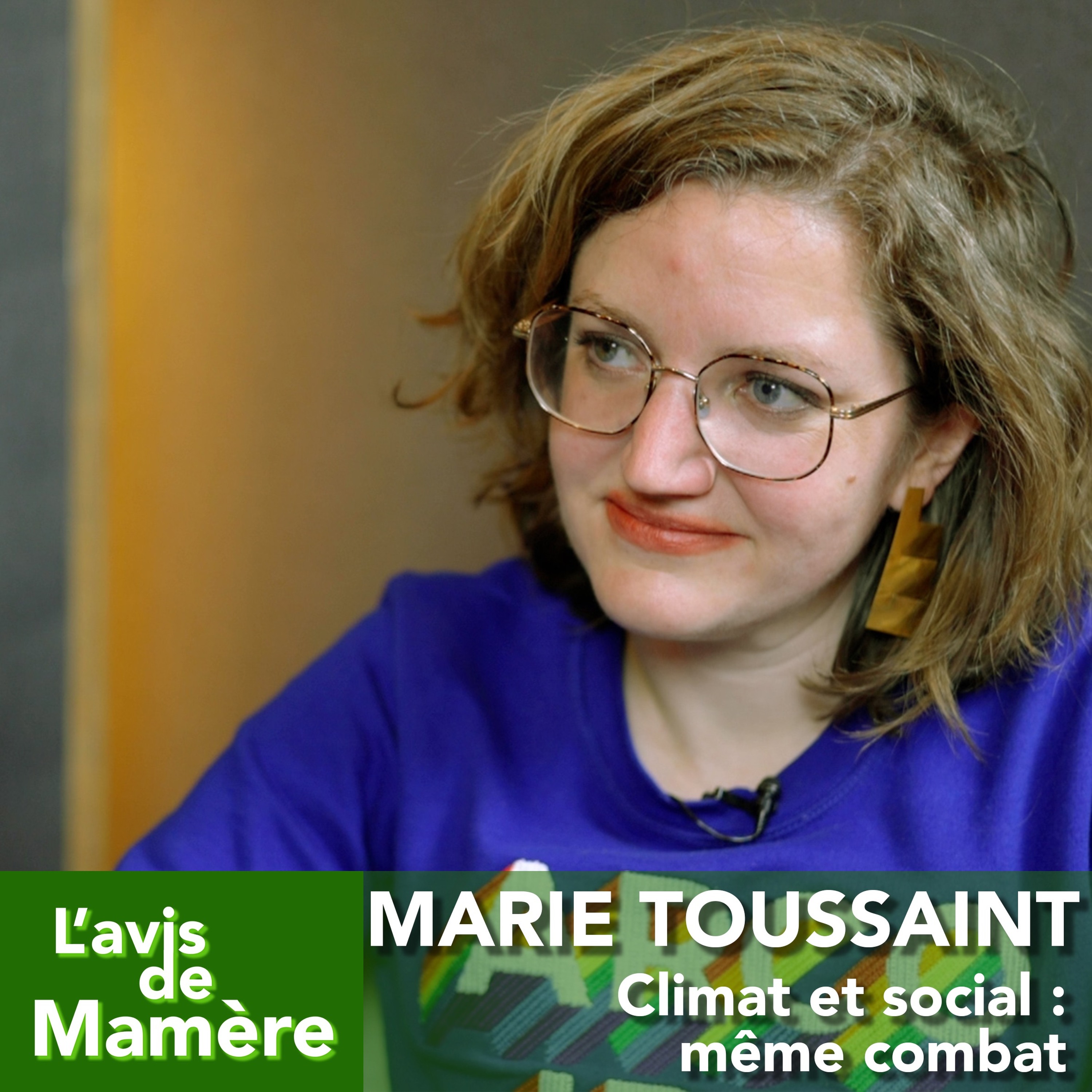 L\'avis de Mamère