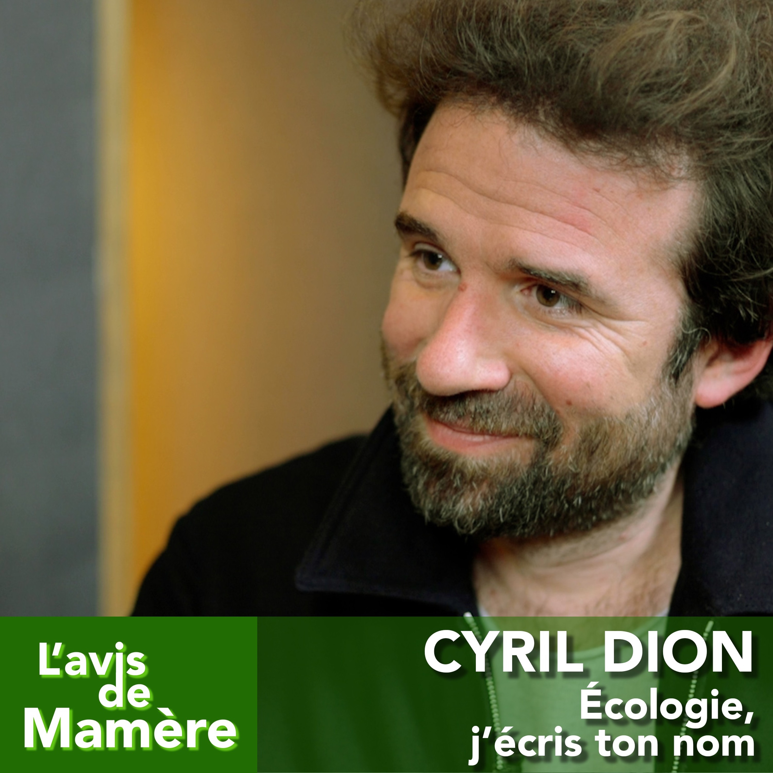 L\'avis de Mamère