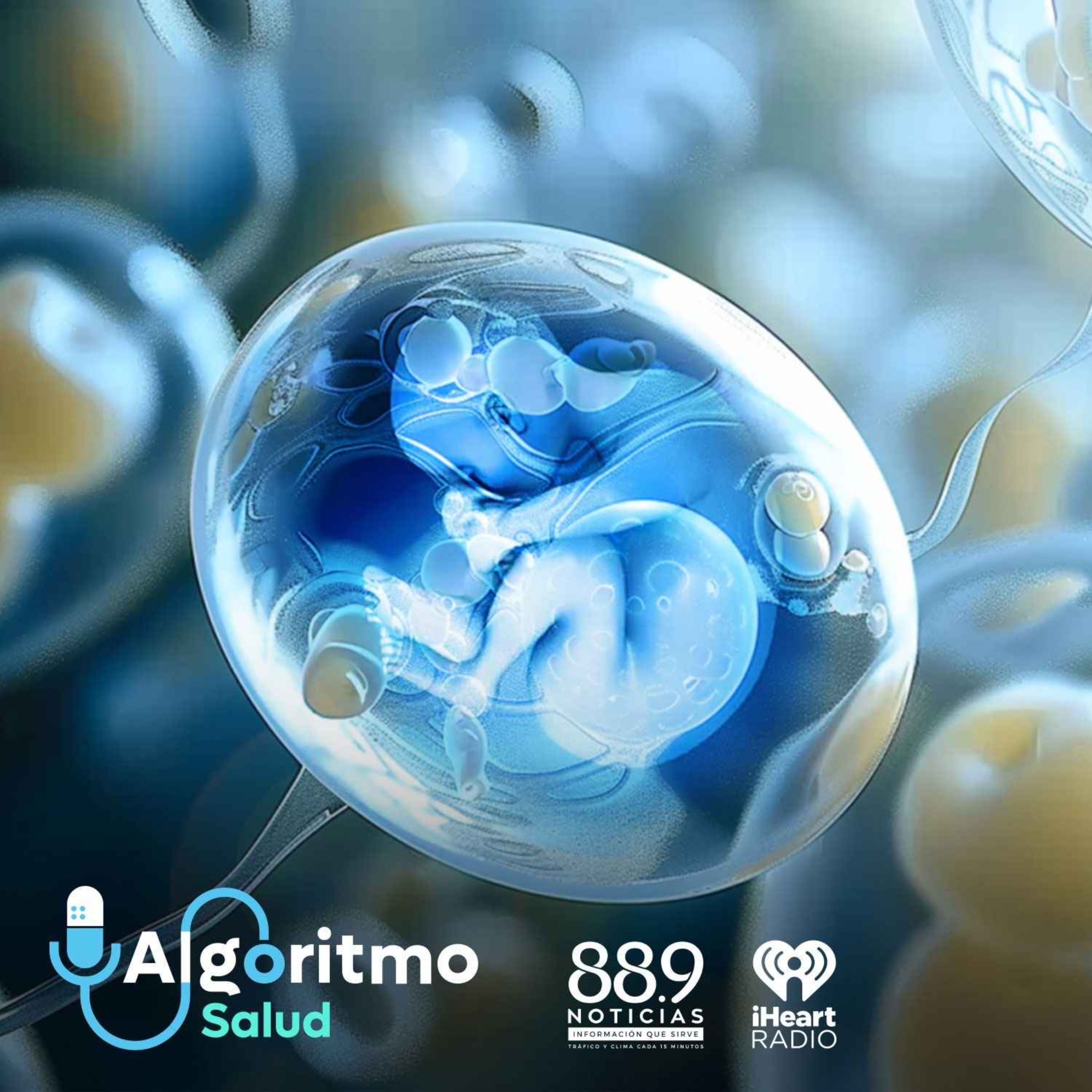 cover art for Inteligencia Artificial en Fertilidad