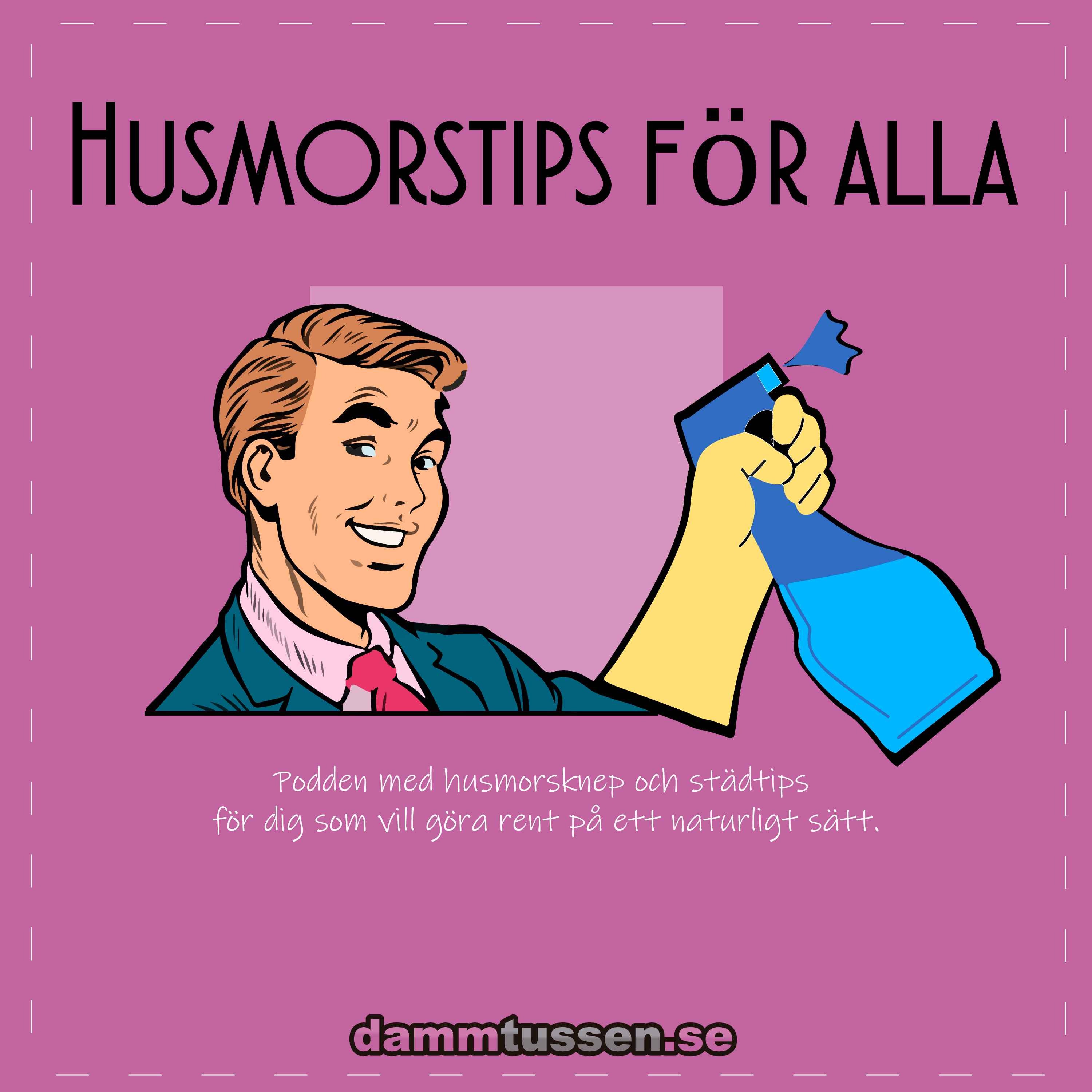 Husmorstips för alla