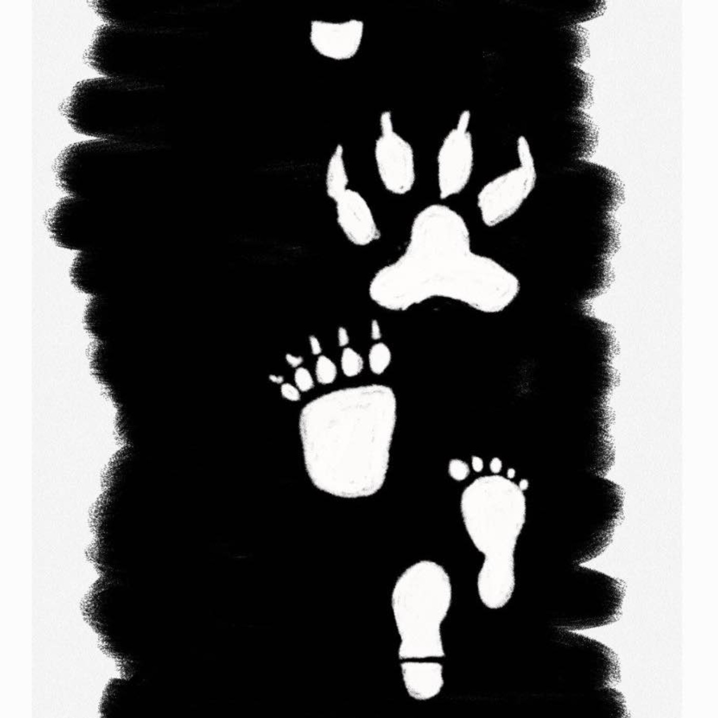 متوری ۱۷ متوری ۱۷