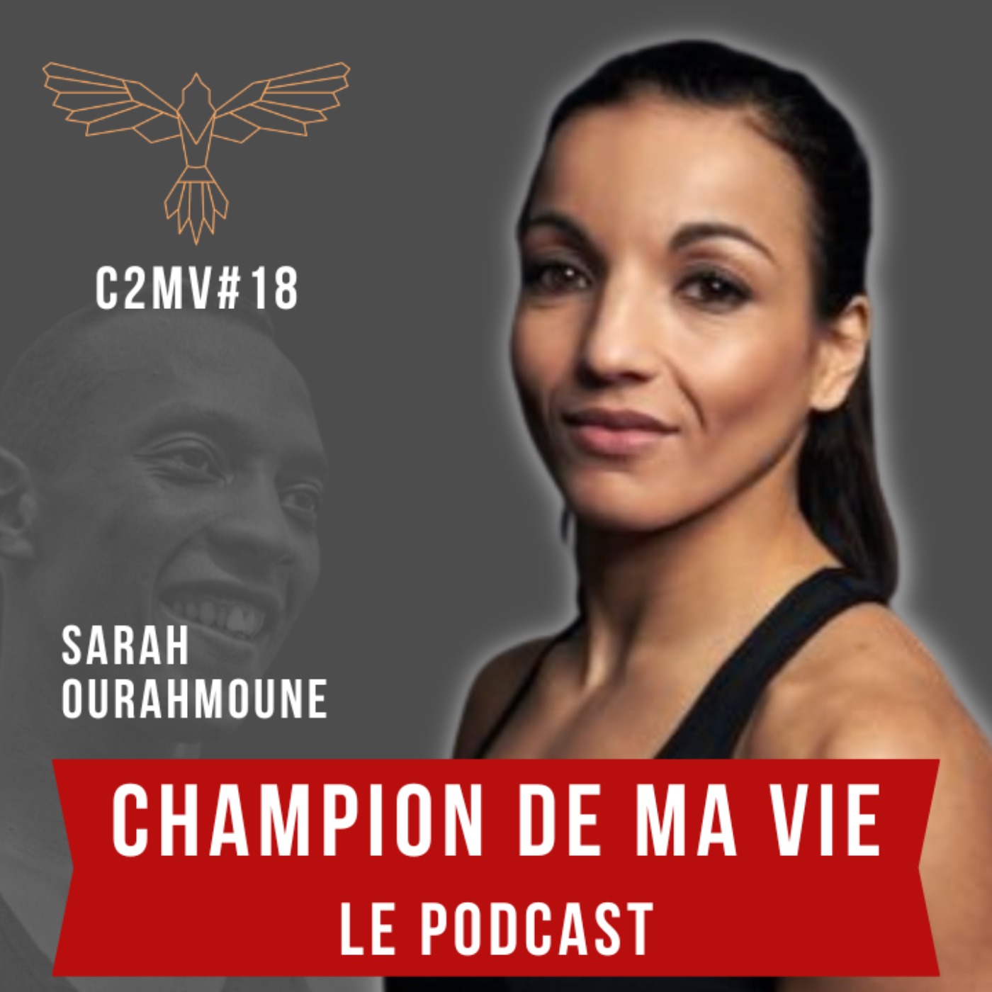 Champion de ma Vie