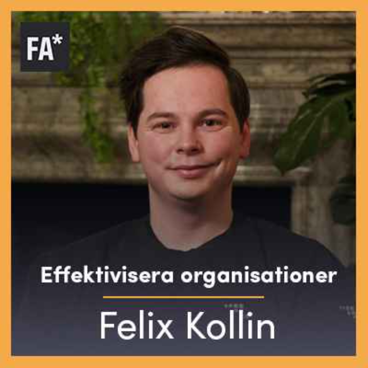 Effektivisera organisationer - Felix Kollin