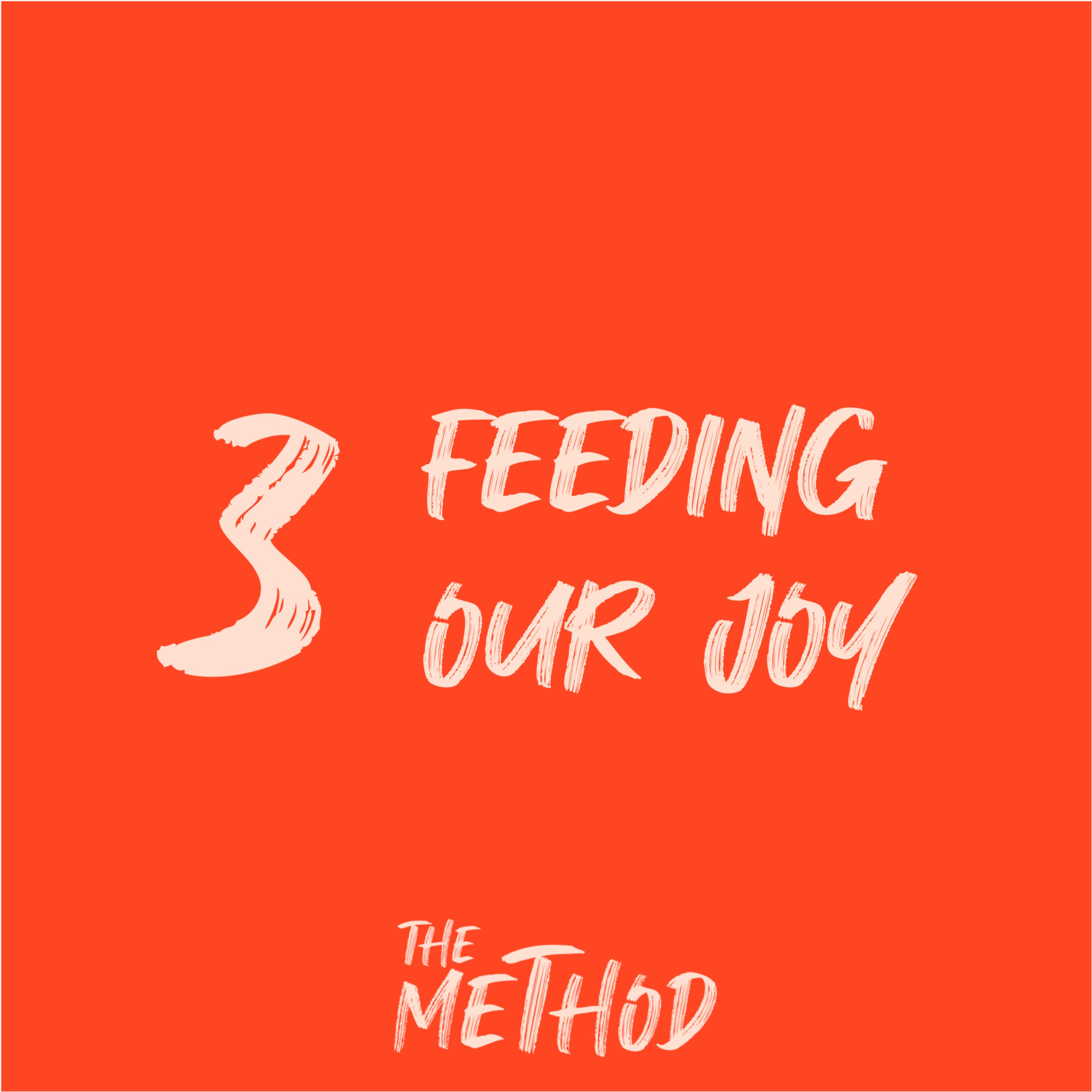The Method 3/6 : Feeding our joy