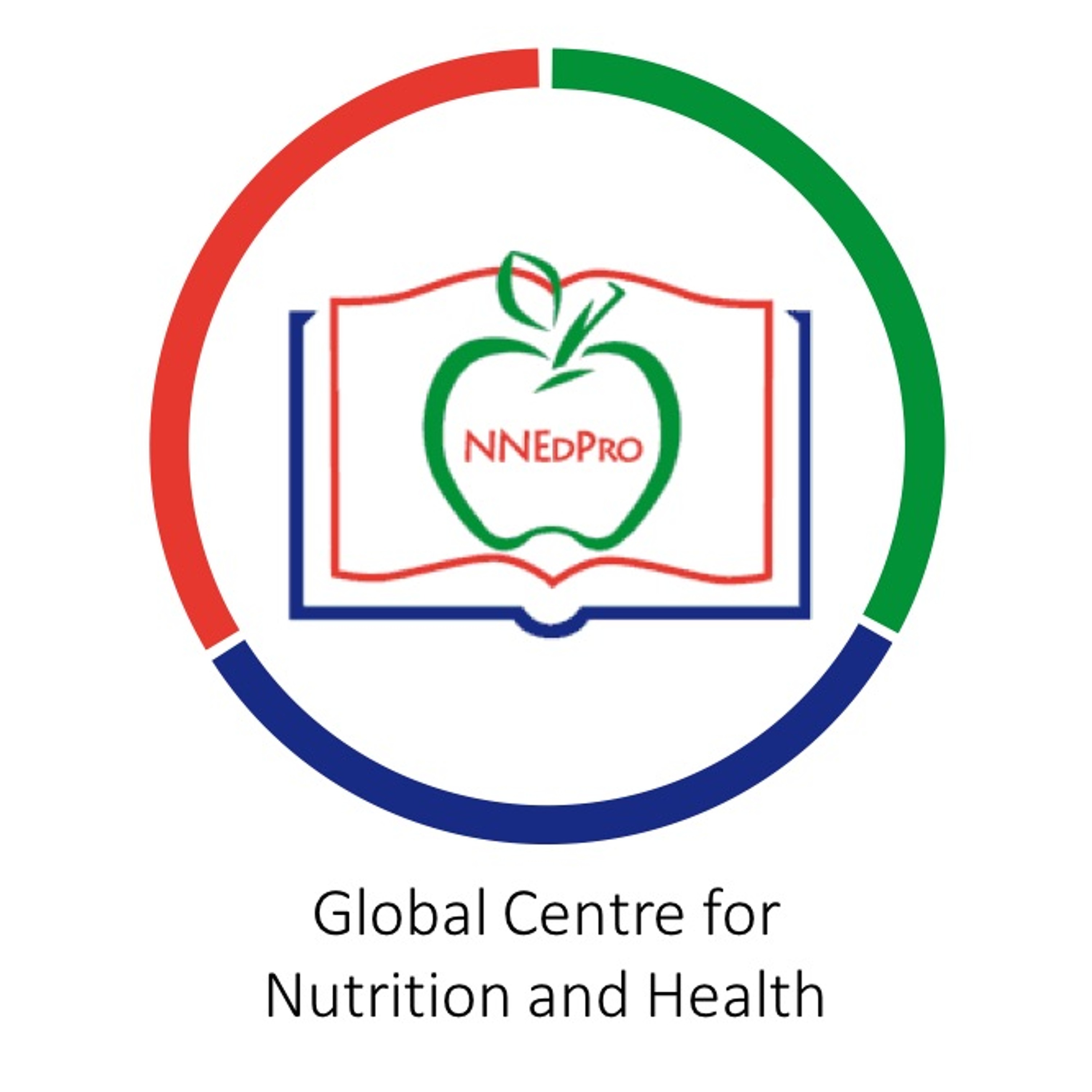NNEdPro Global Institute