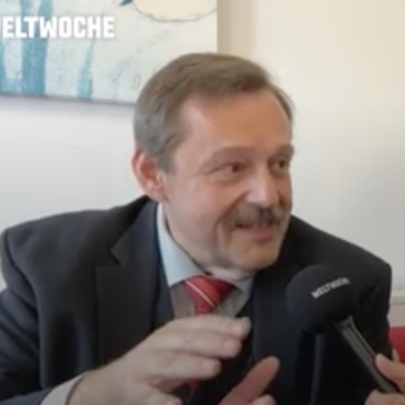 Mehr Physiker in die Politik: Sozialdemokrat und Neurophysiker Prof. Werner Gruber – Weltwoche