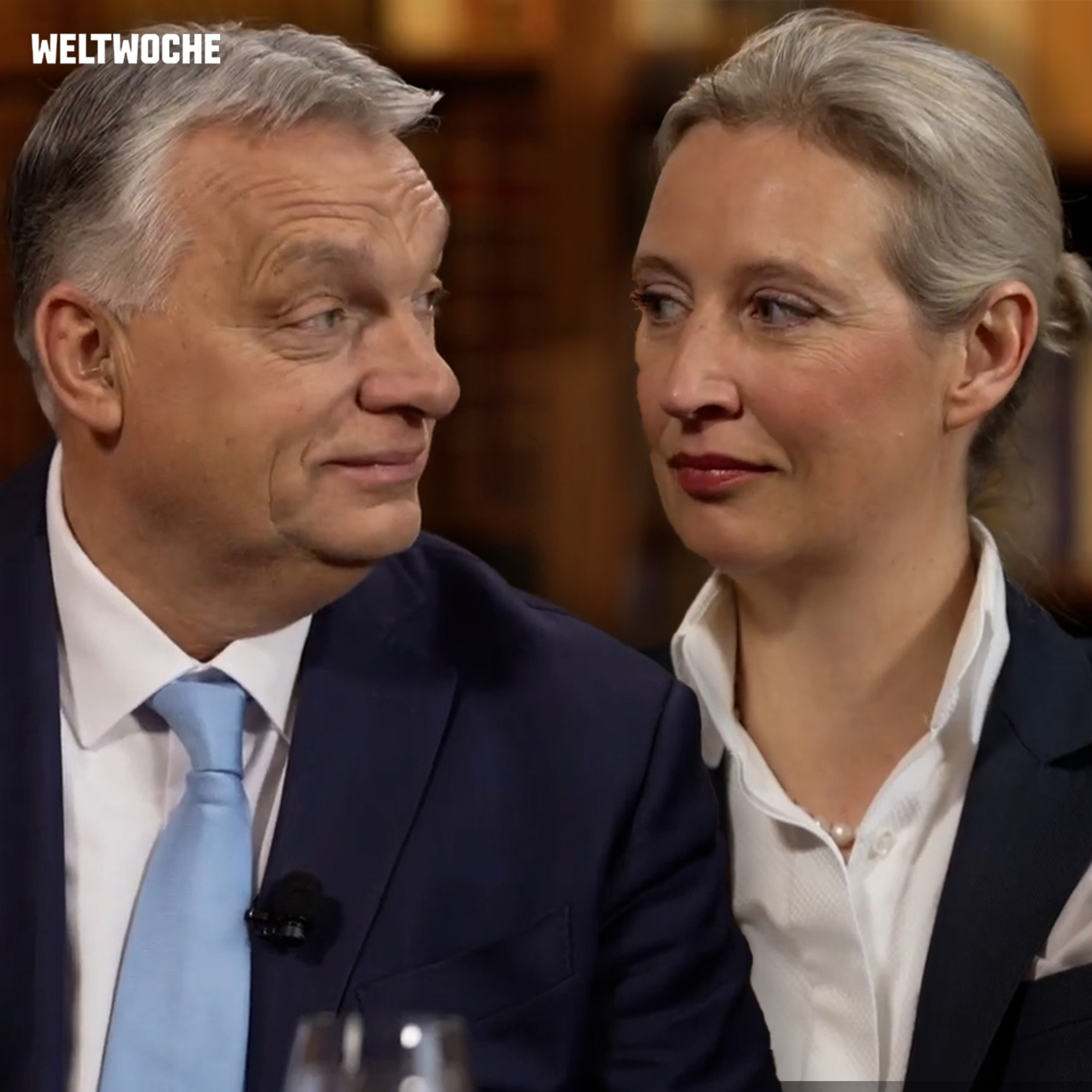 «Die AfD ist Deutschlands Zukunft»: Viktor Orbán und Alice Weidel im grossen Gespräch