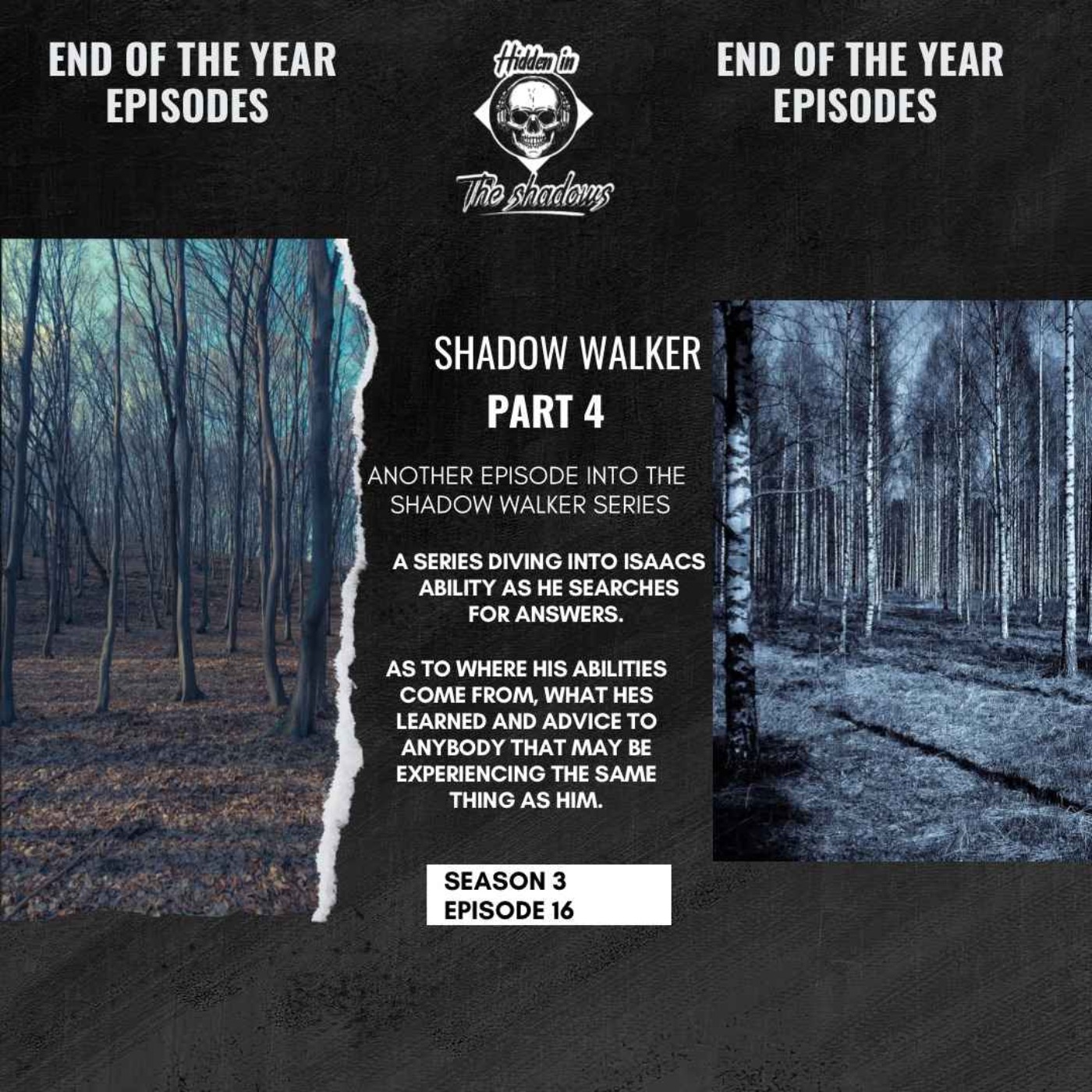 Shadow Walker Part 4 Image