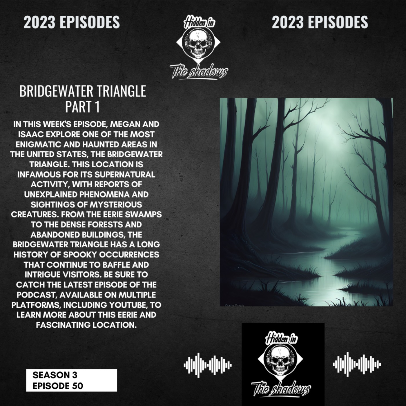 cover art for Bridgewater Triangle Part 1