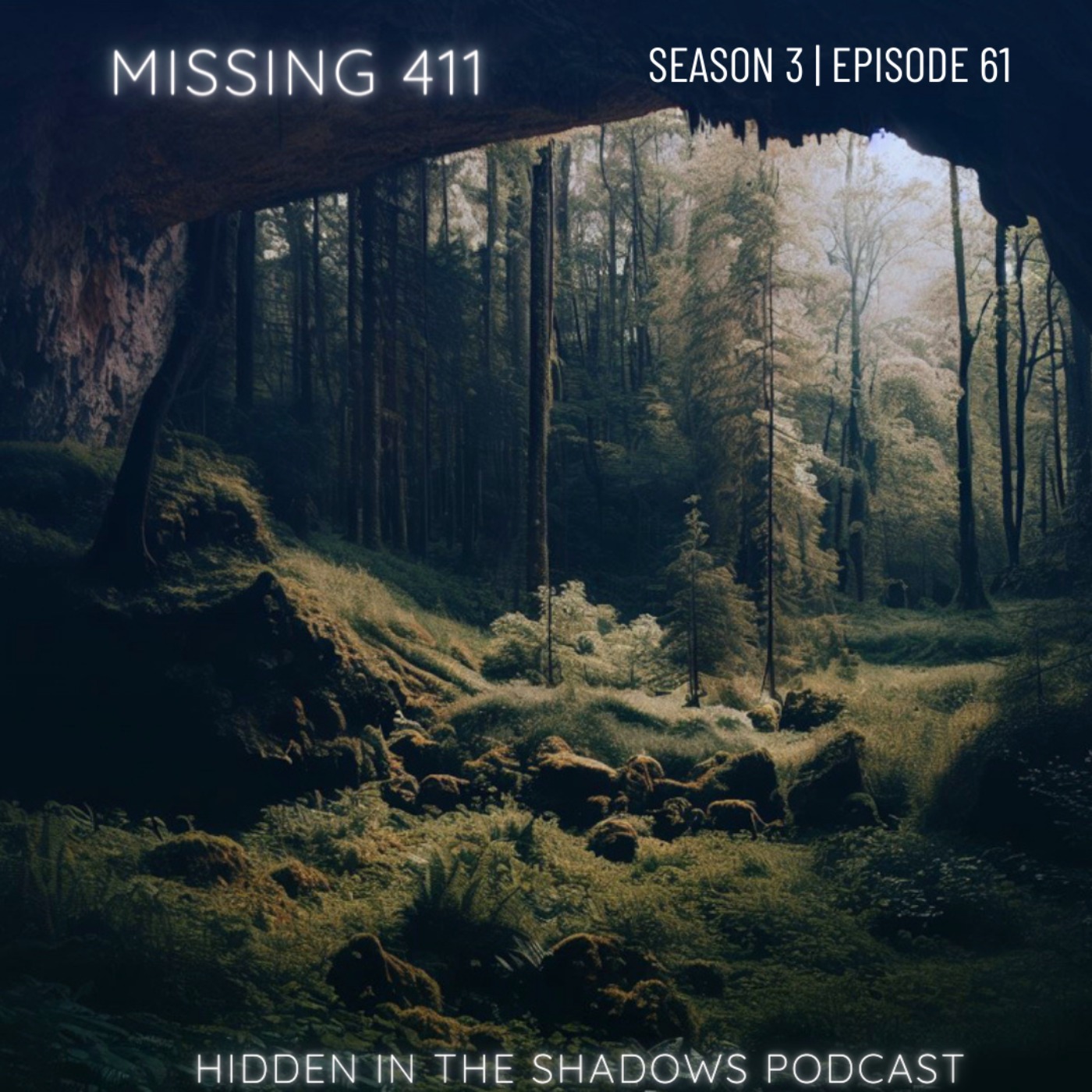 Missing 411