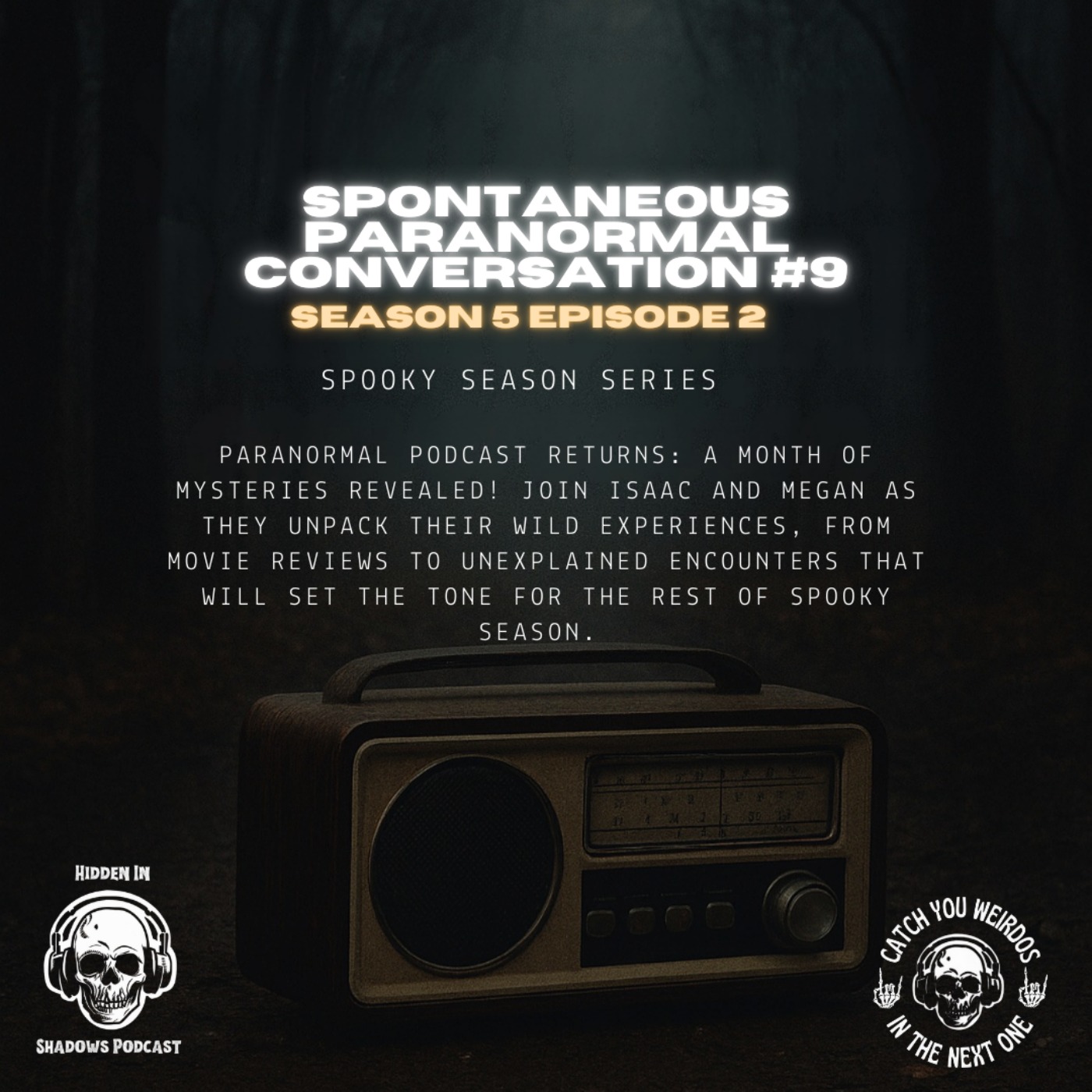 Spontaneous Paranormal Conversation #9