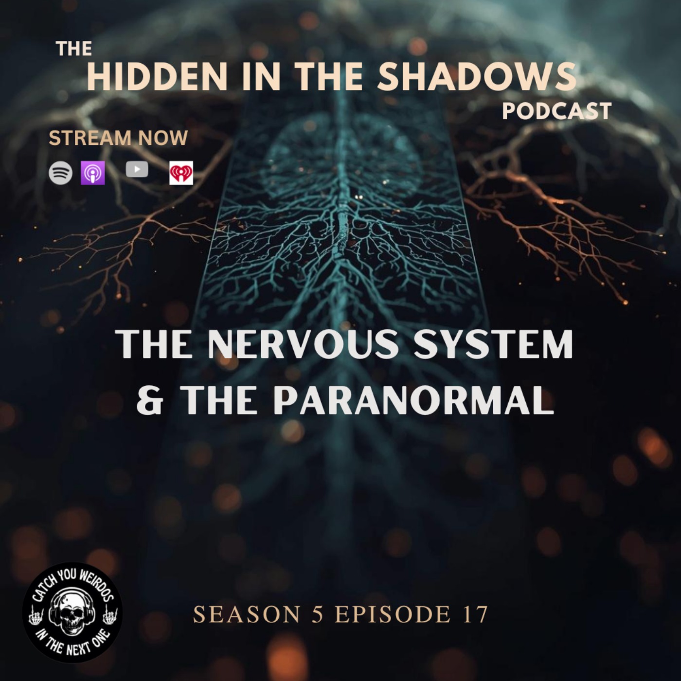 The Nervous System & The Paranormal