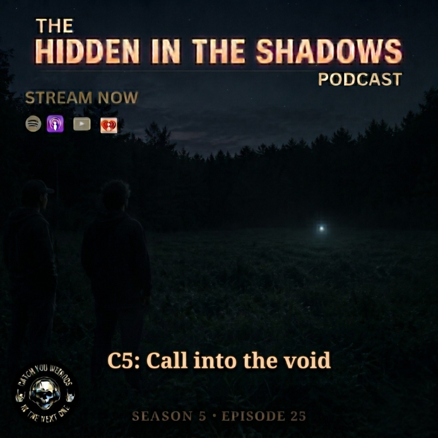 C5: Call Into The Void