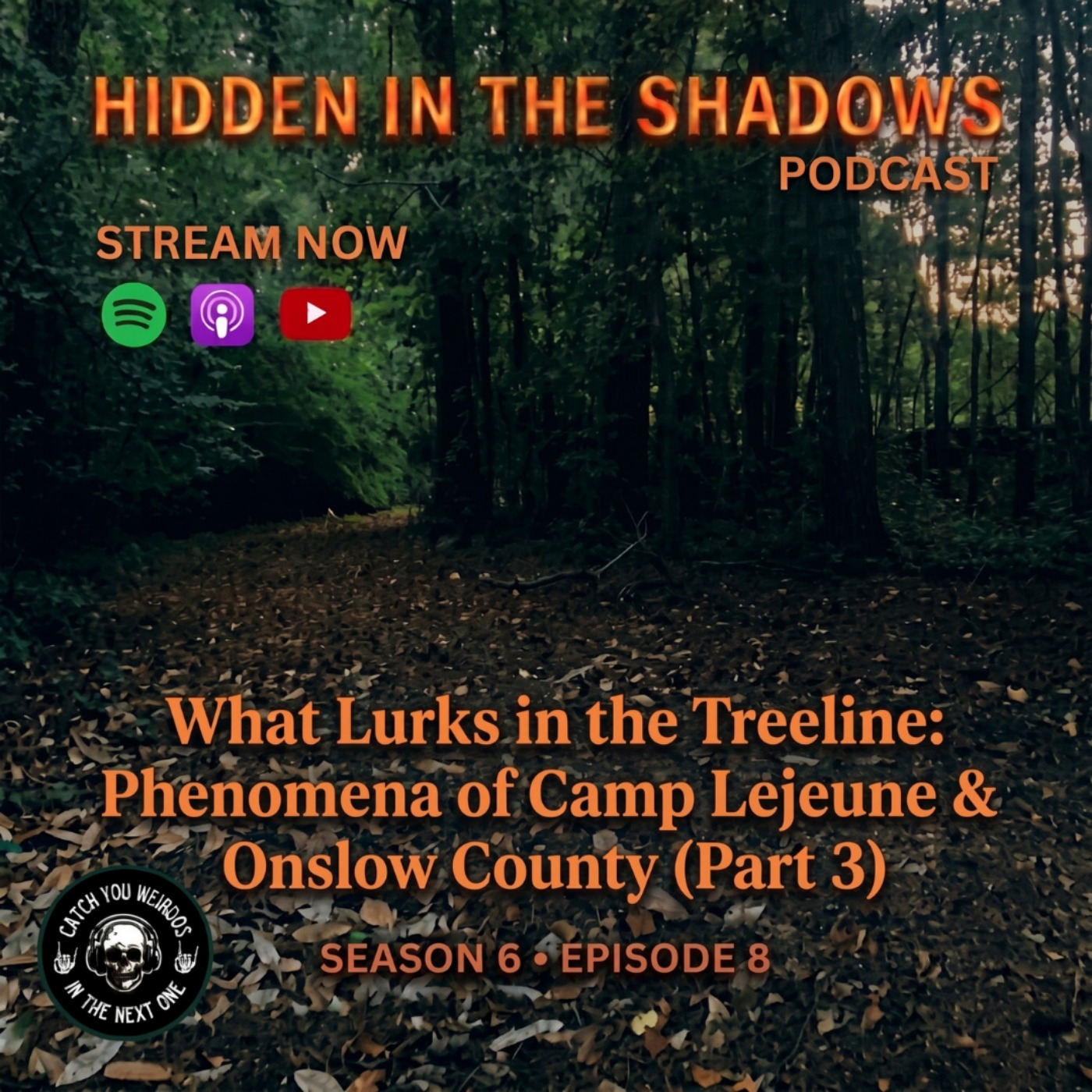 What Lurks in the Treeline: Phenomena of Camp Lejeune & Onslow County (Part 3)