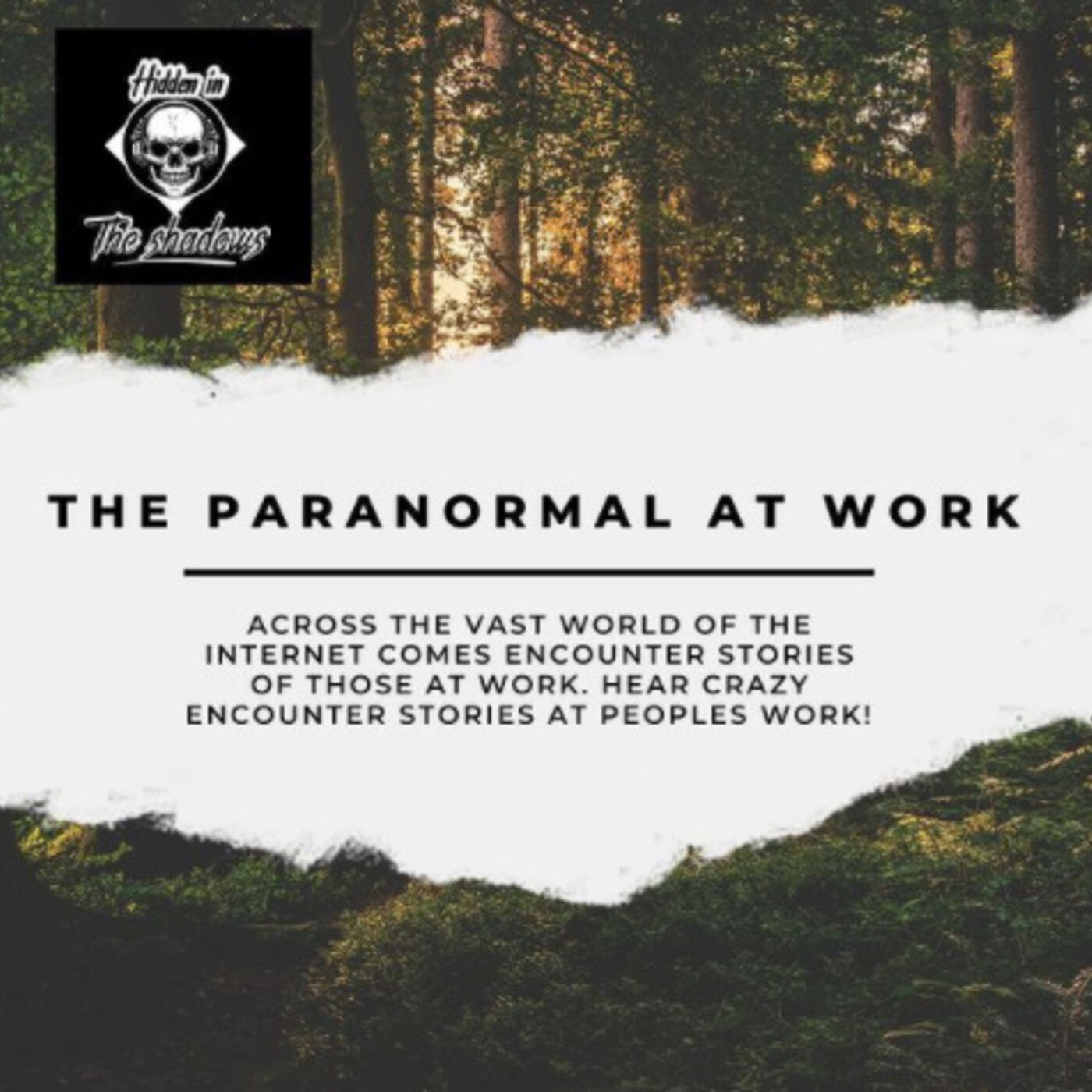 Paranormal At Work