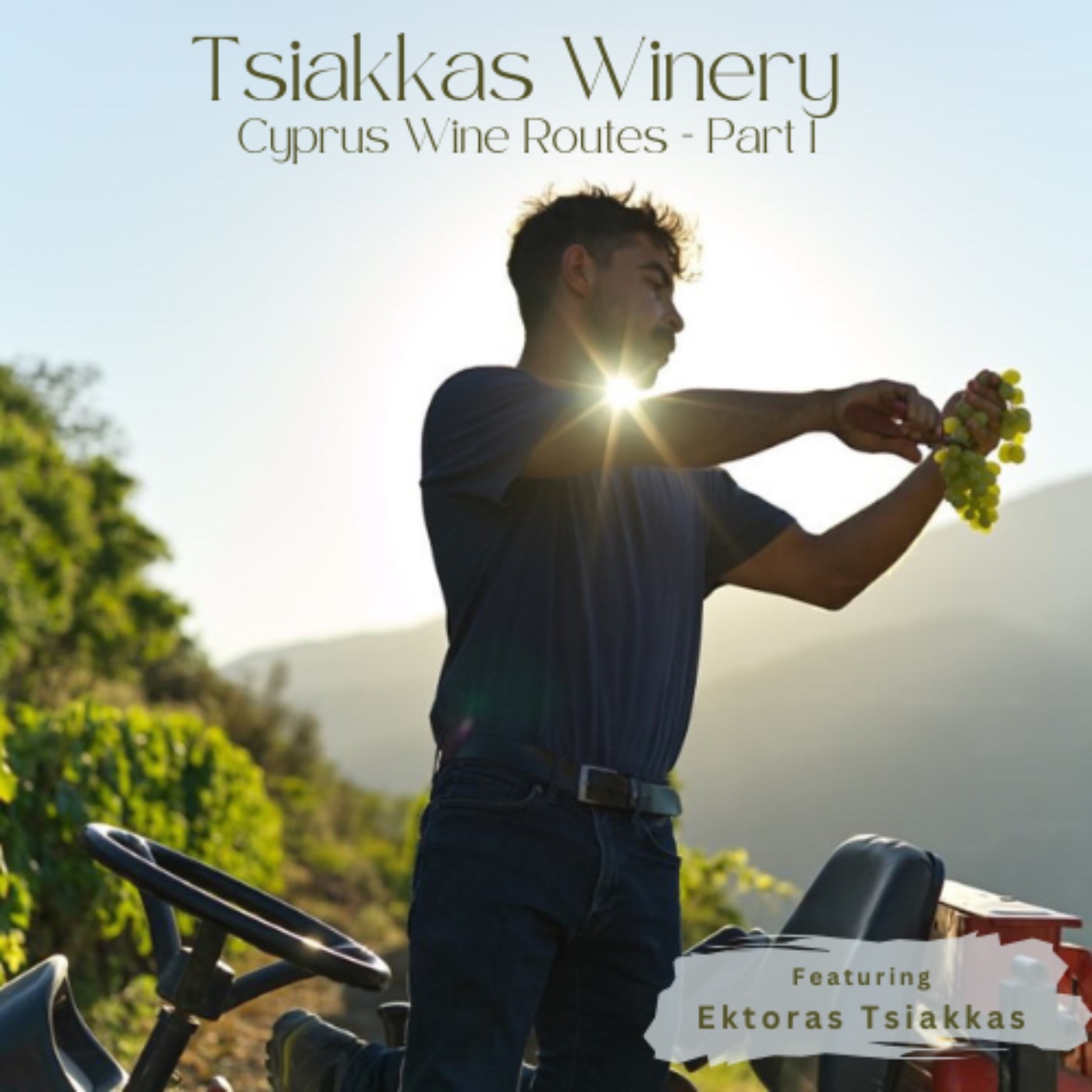 Tsiakkas Winery featuring Ektoras Tsiakkas