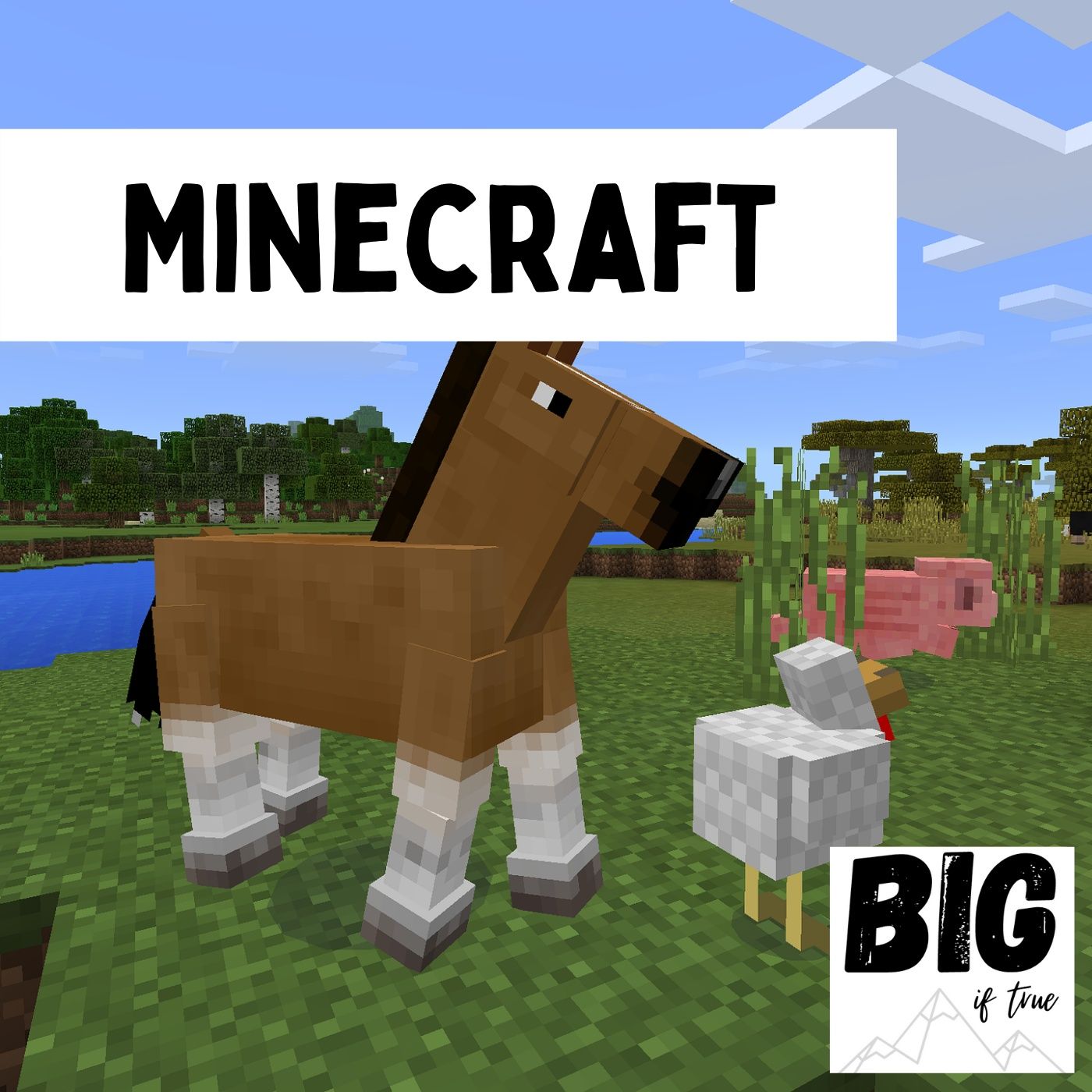 Minecraft