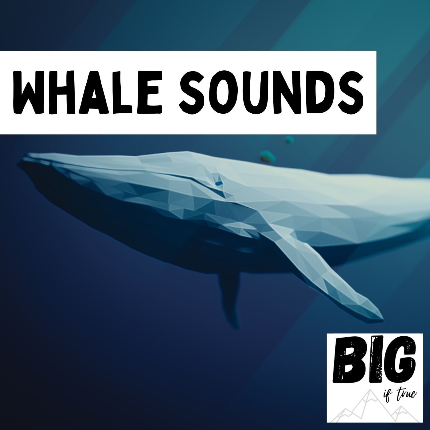 Whale Sounds