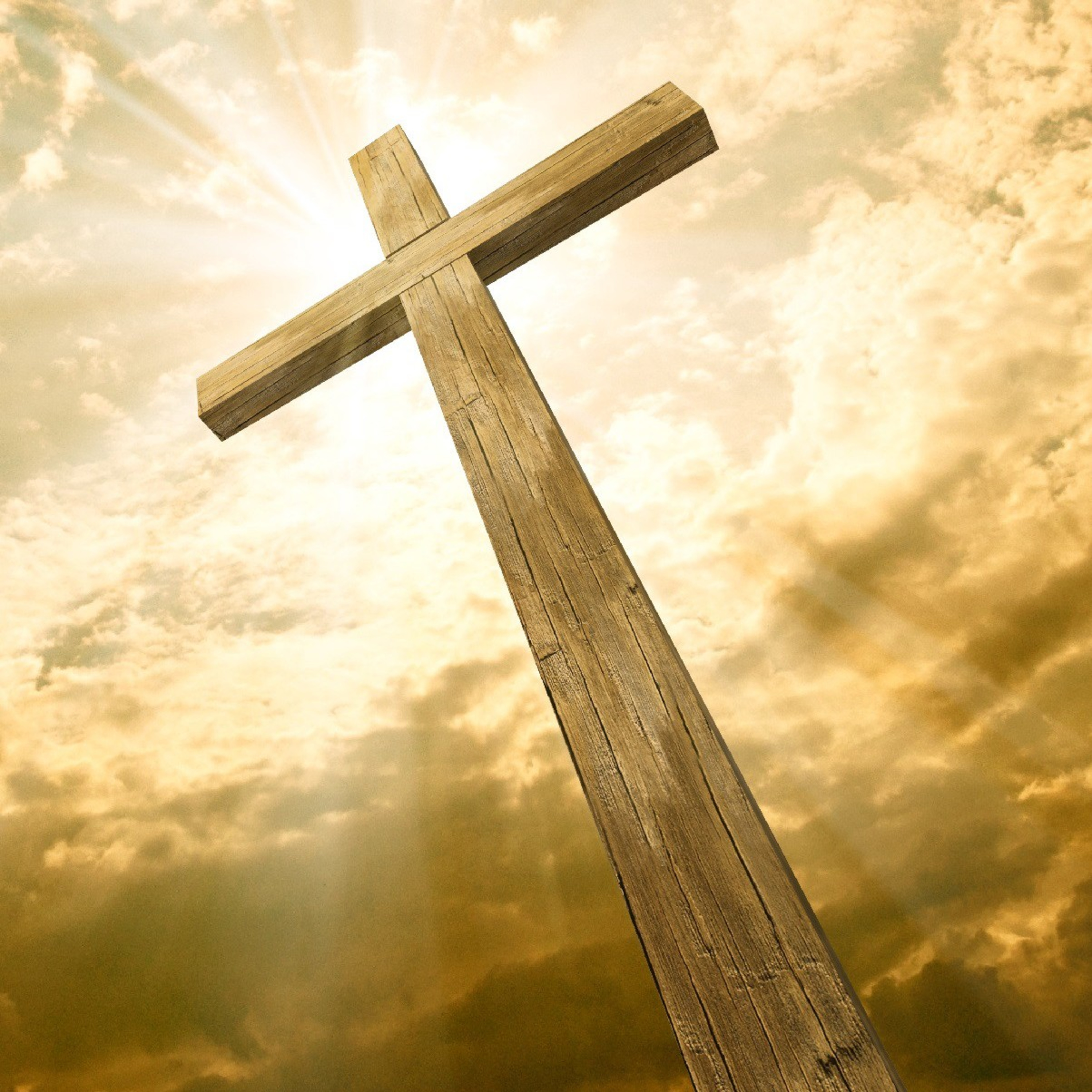I Timóteo Novo Testamento episode artwork