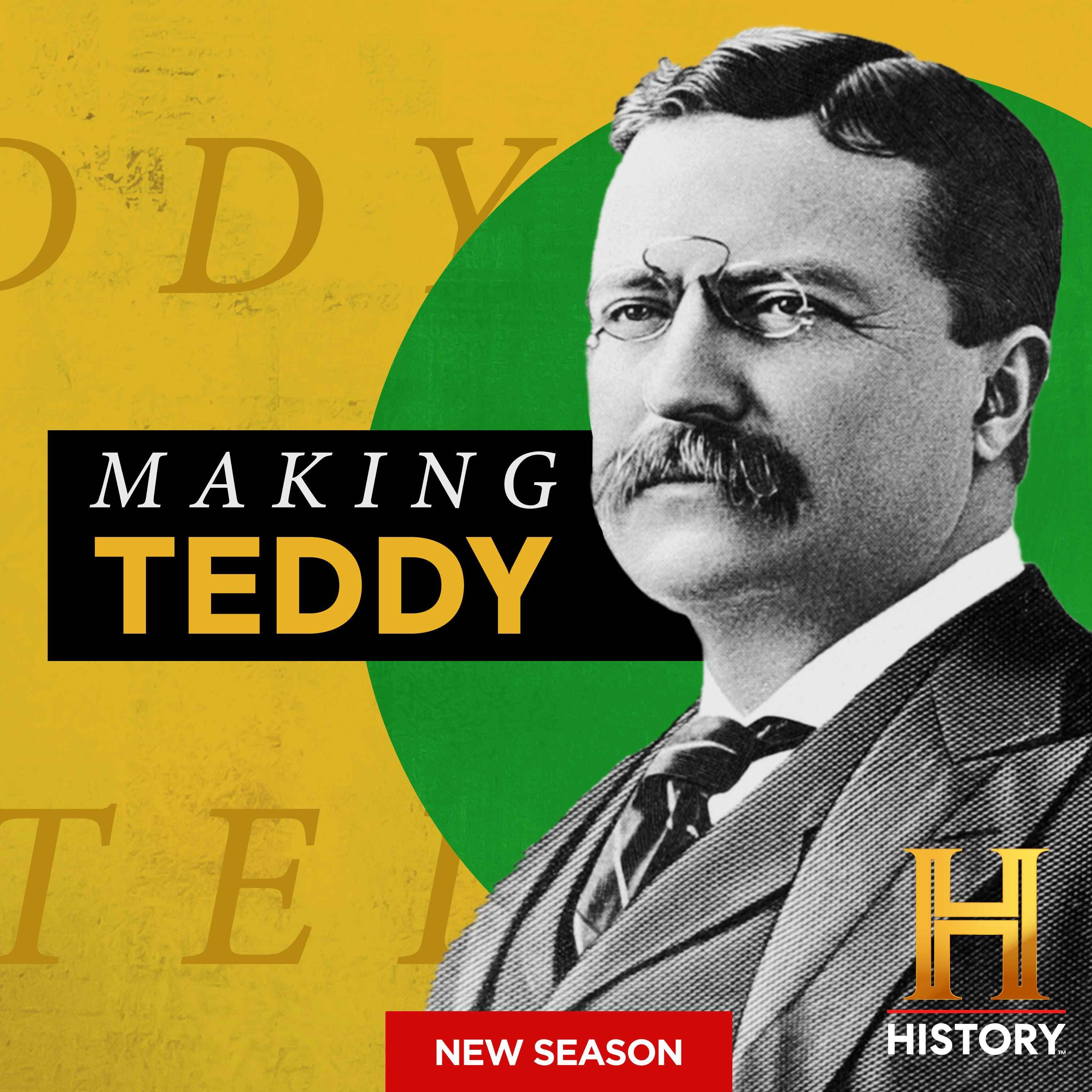 cover art for Introducing: Making Teddy