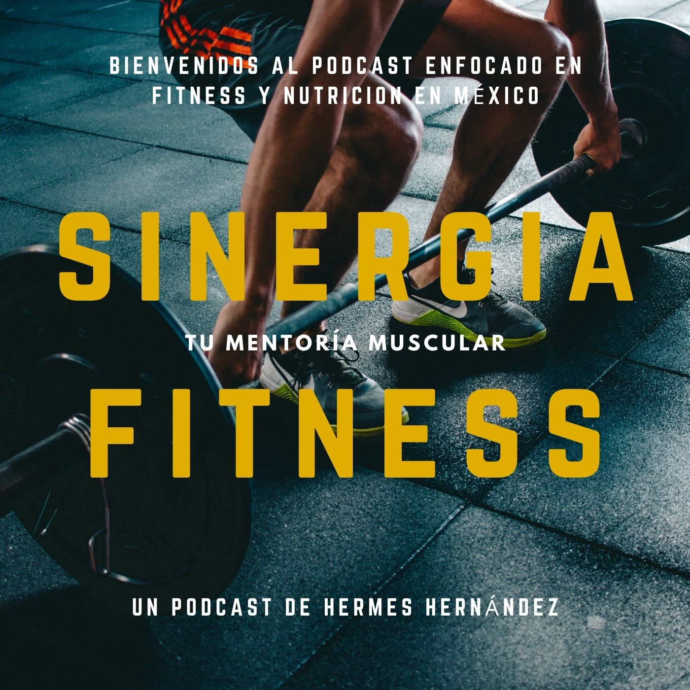 Sinergia Fitness: Tu mentoría muscular cover art