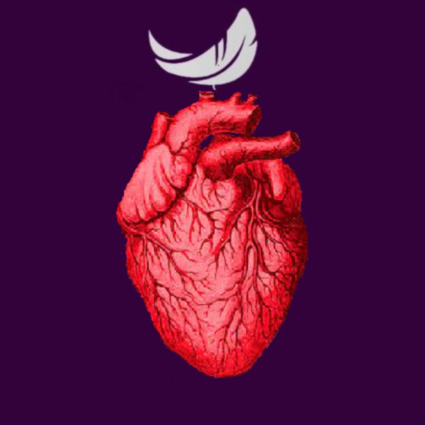 قسمت ۱۶- مجنون- رادیو پرگست