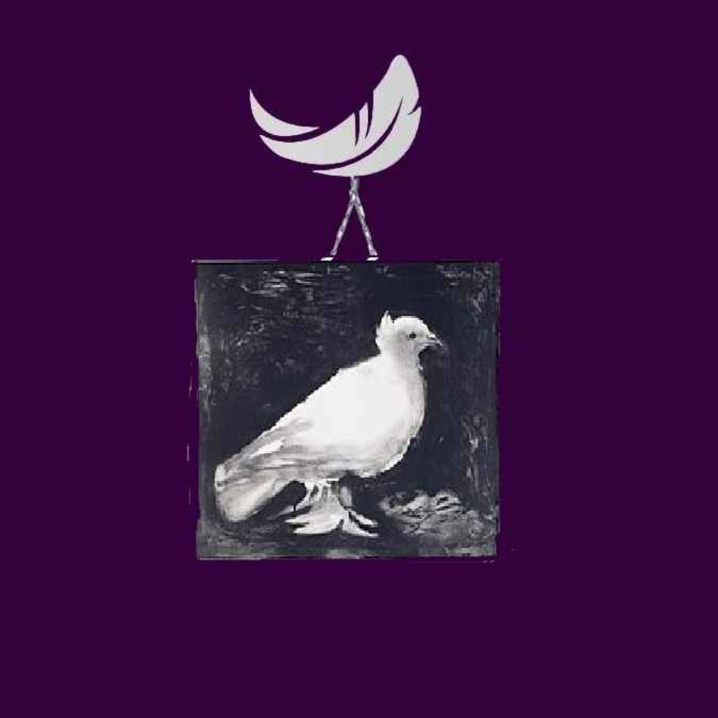 قسمت ۲۰- پرگشایی- رادیو پرگست