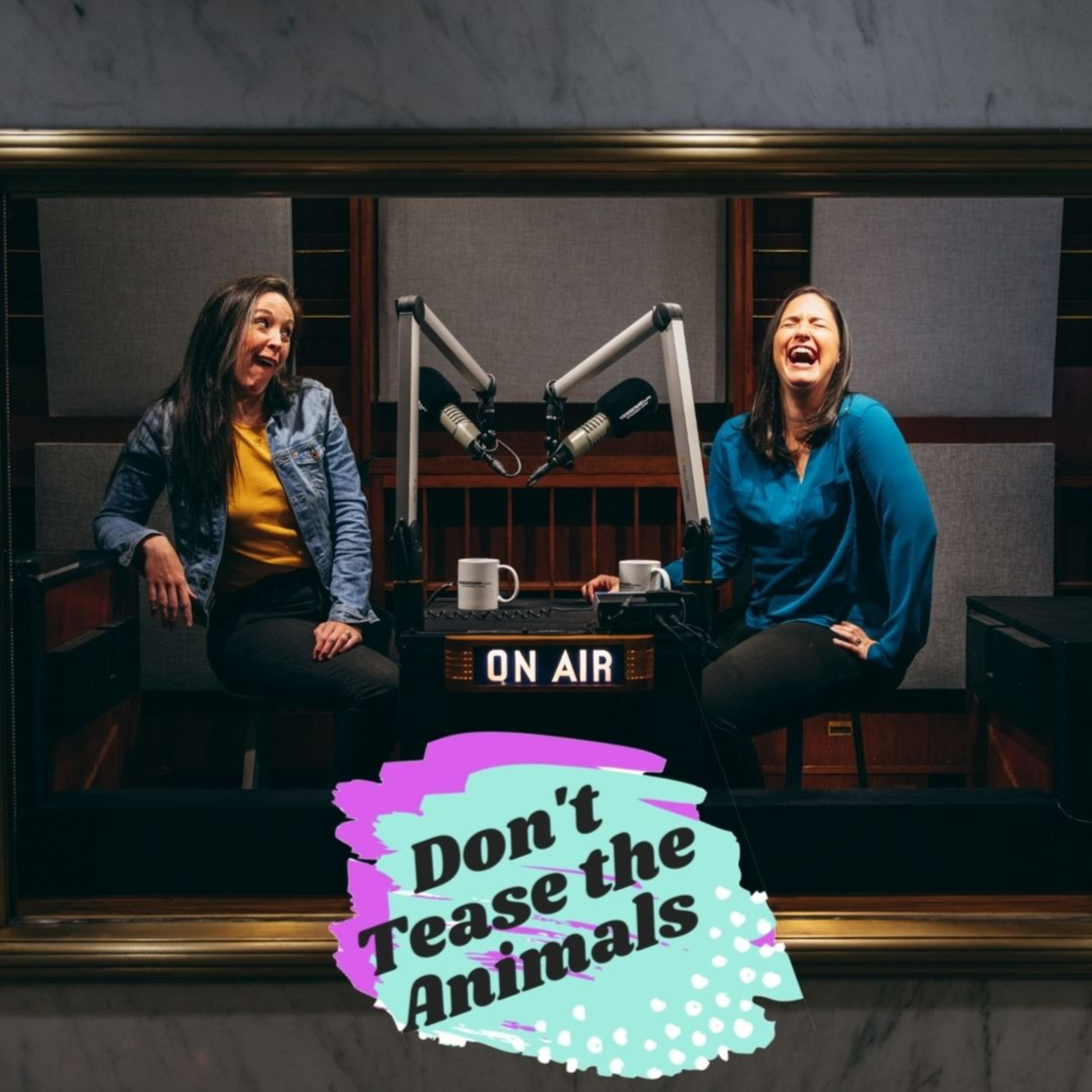 Don\'t Tease The Animals