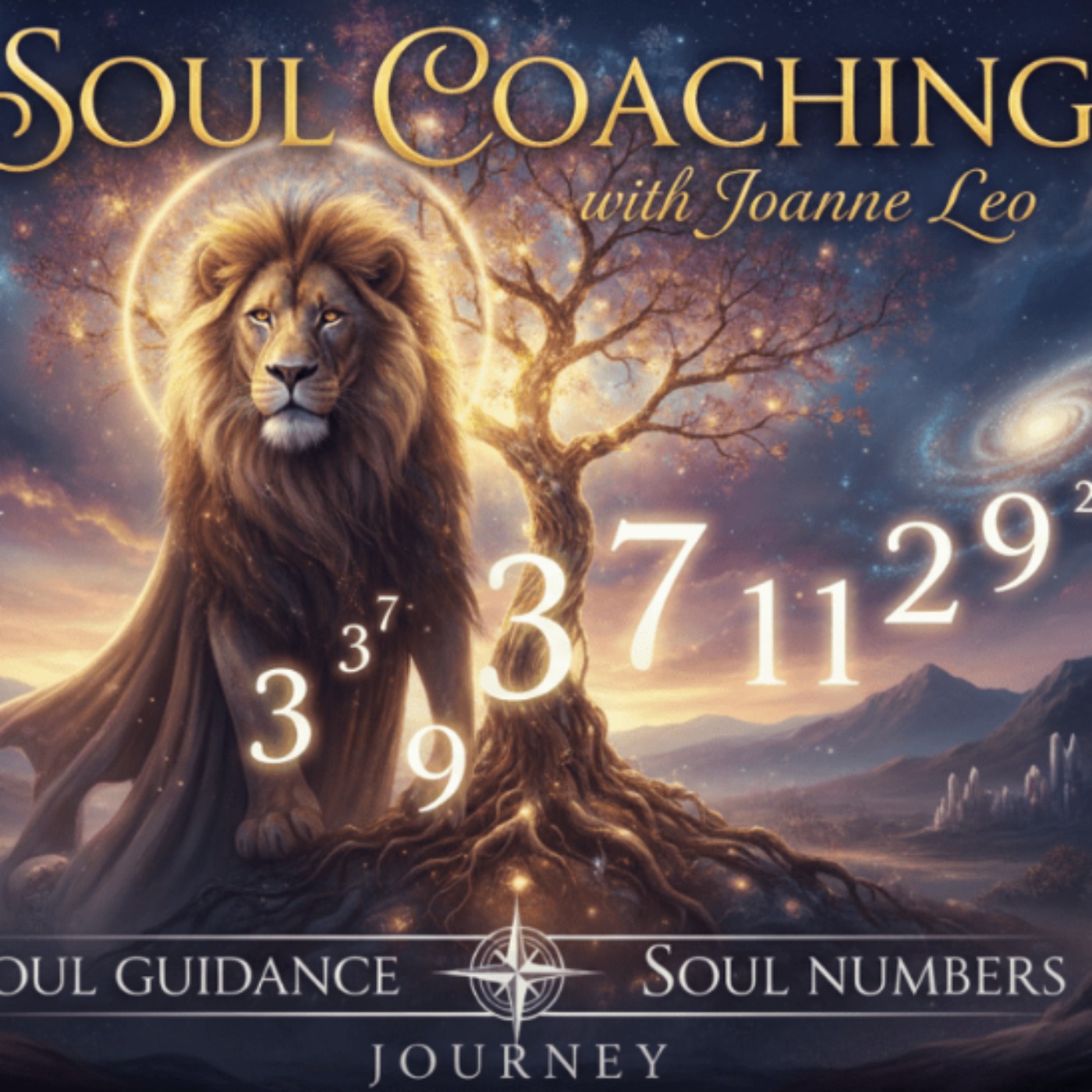 Soul Coaching with Joanne Leo * 12 Feb 2026 episode artwork
