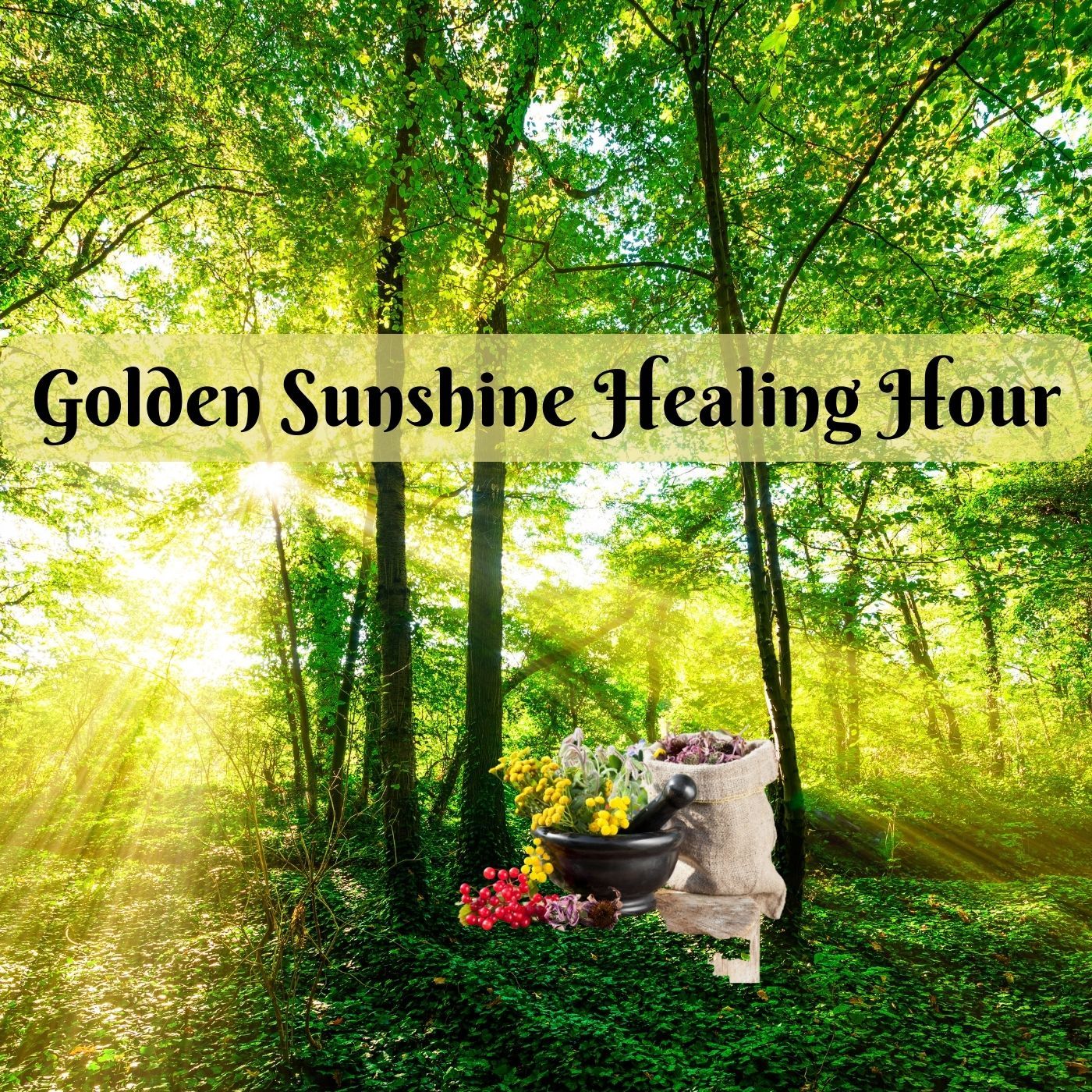 28Feb2022  Golden Sunshine Healing Hour episode artwork