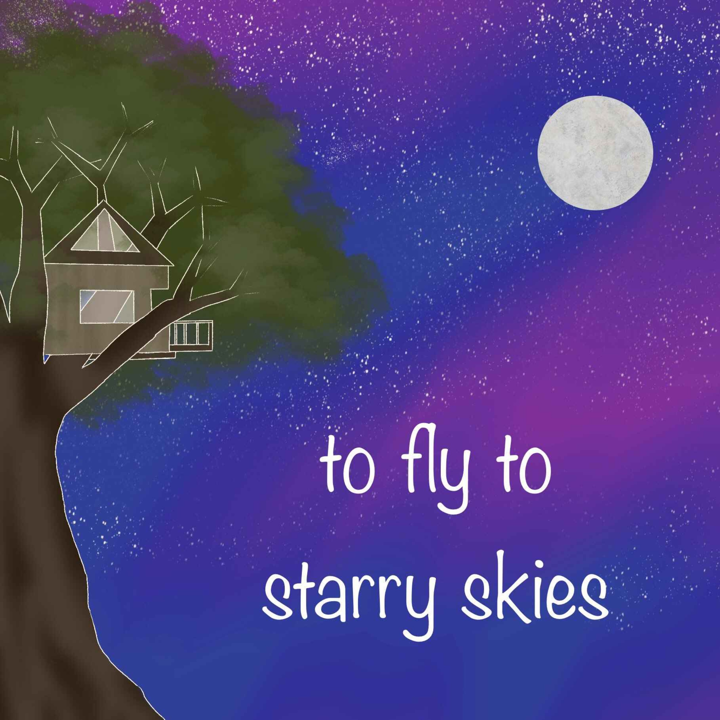 cover art for to fly to starry skies
