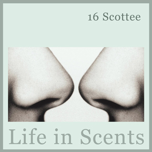 16 Scottee