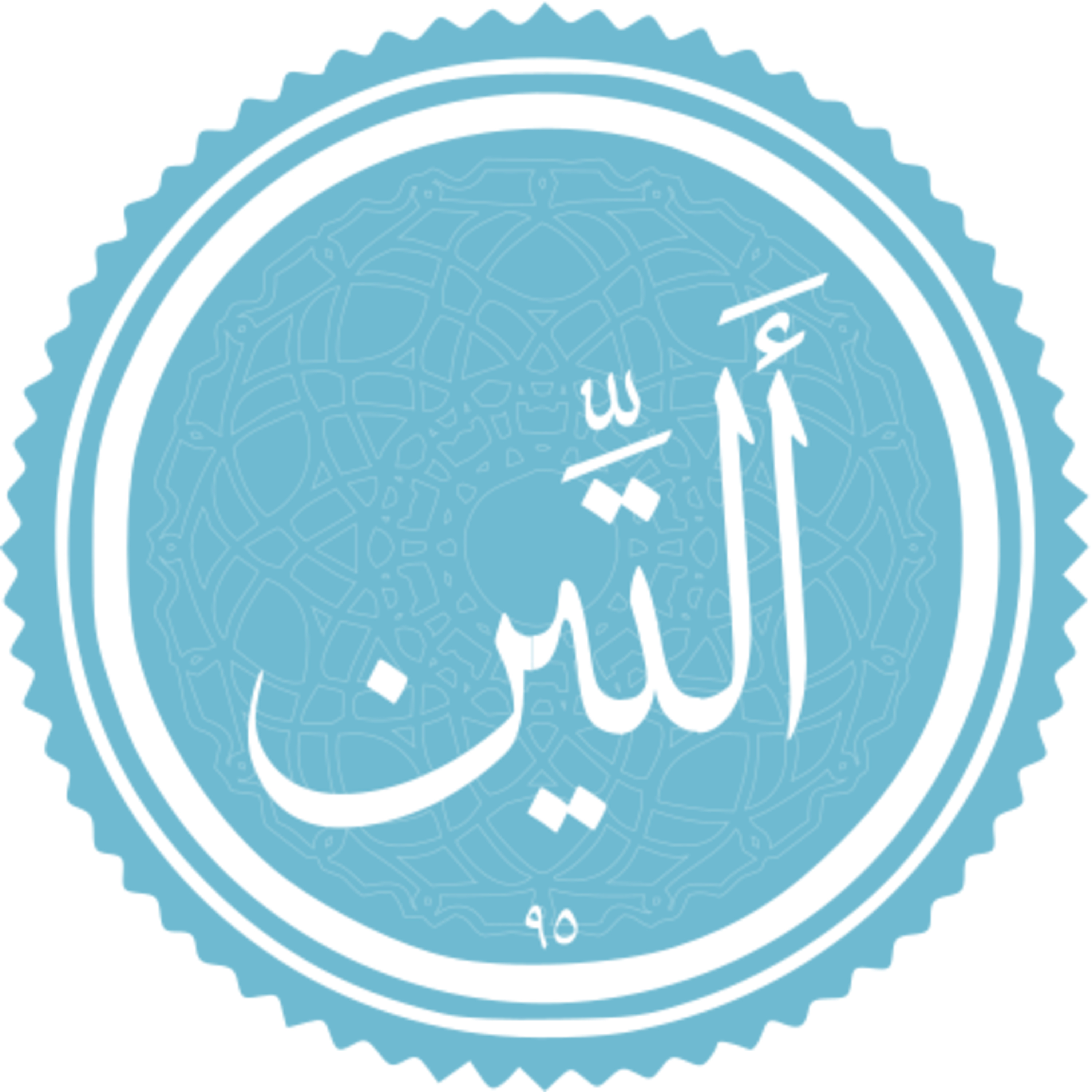 095 - ترتیل استاد غامدی - تین