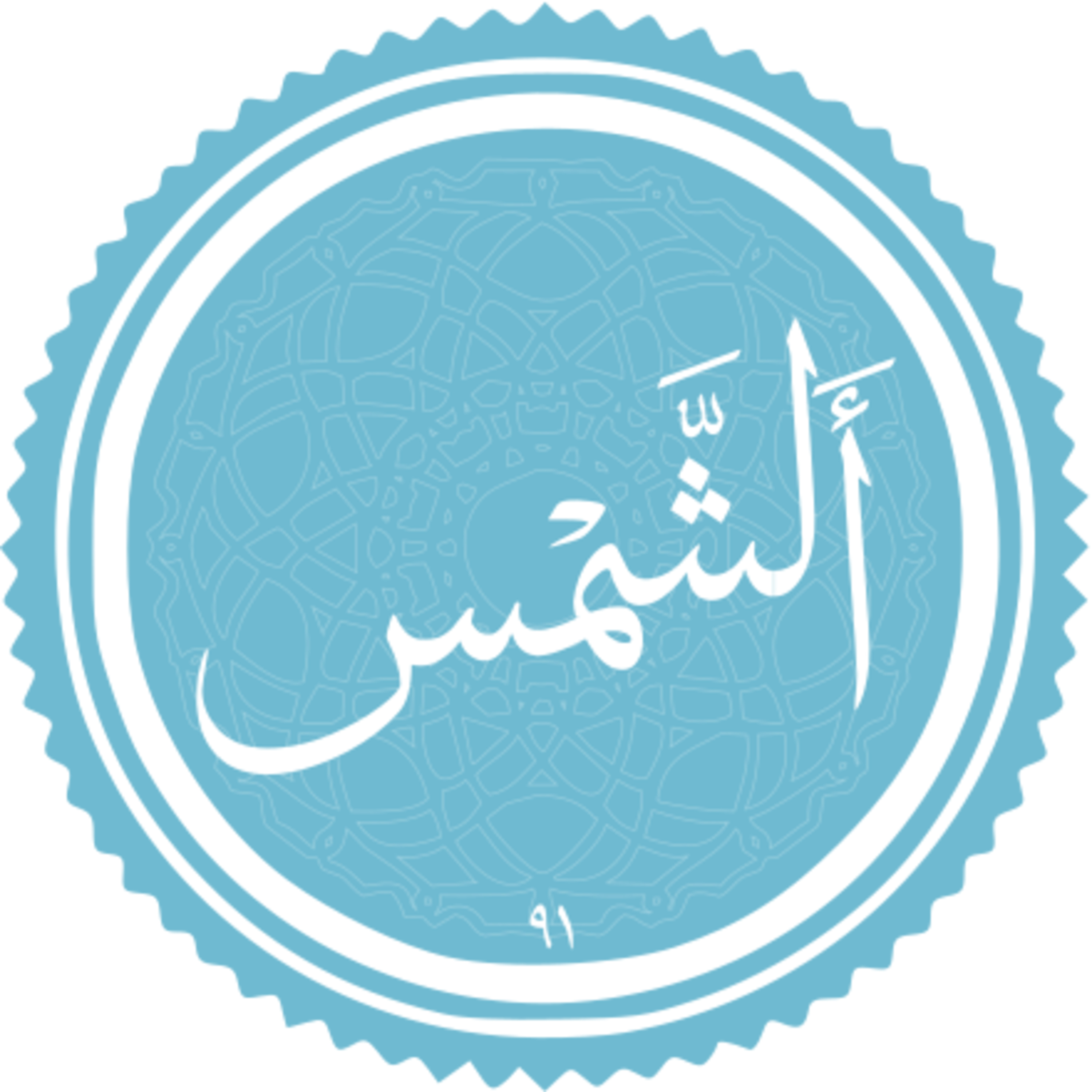 091 - ترتیل استاد غامدی - شمس