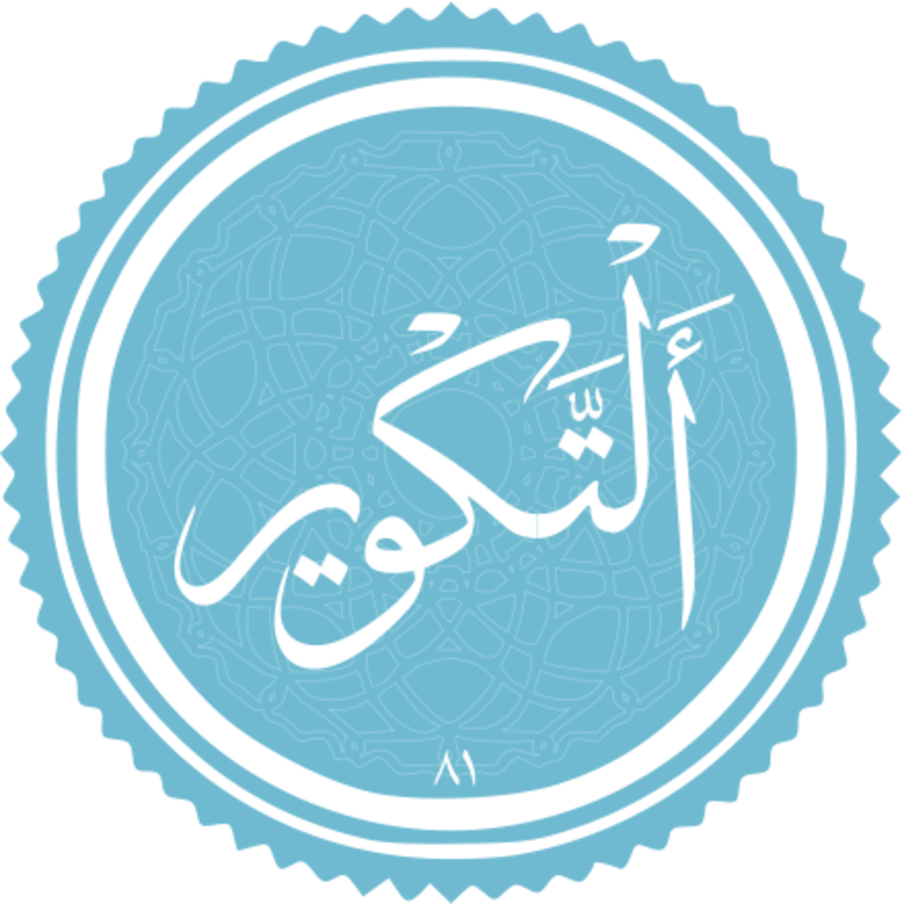 081 - ترتیل استاد غامدی - تکویر