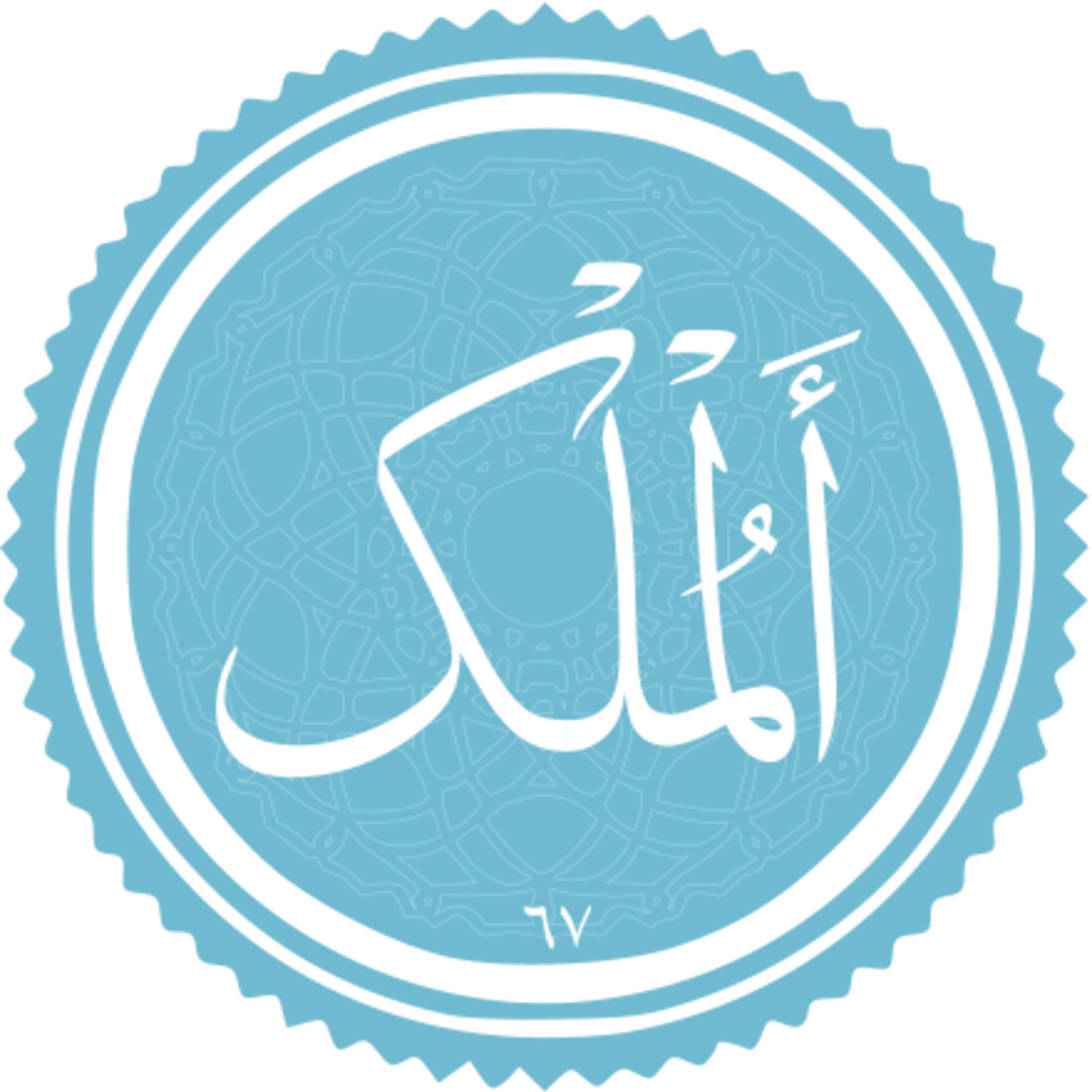 067 - ترتیل استاد غامدی - ملک
