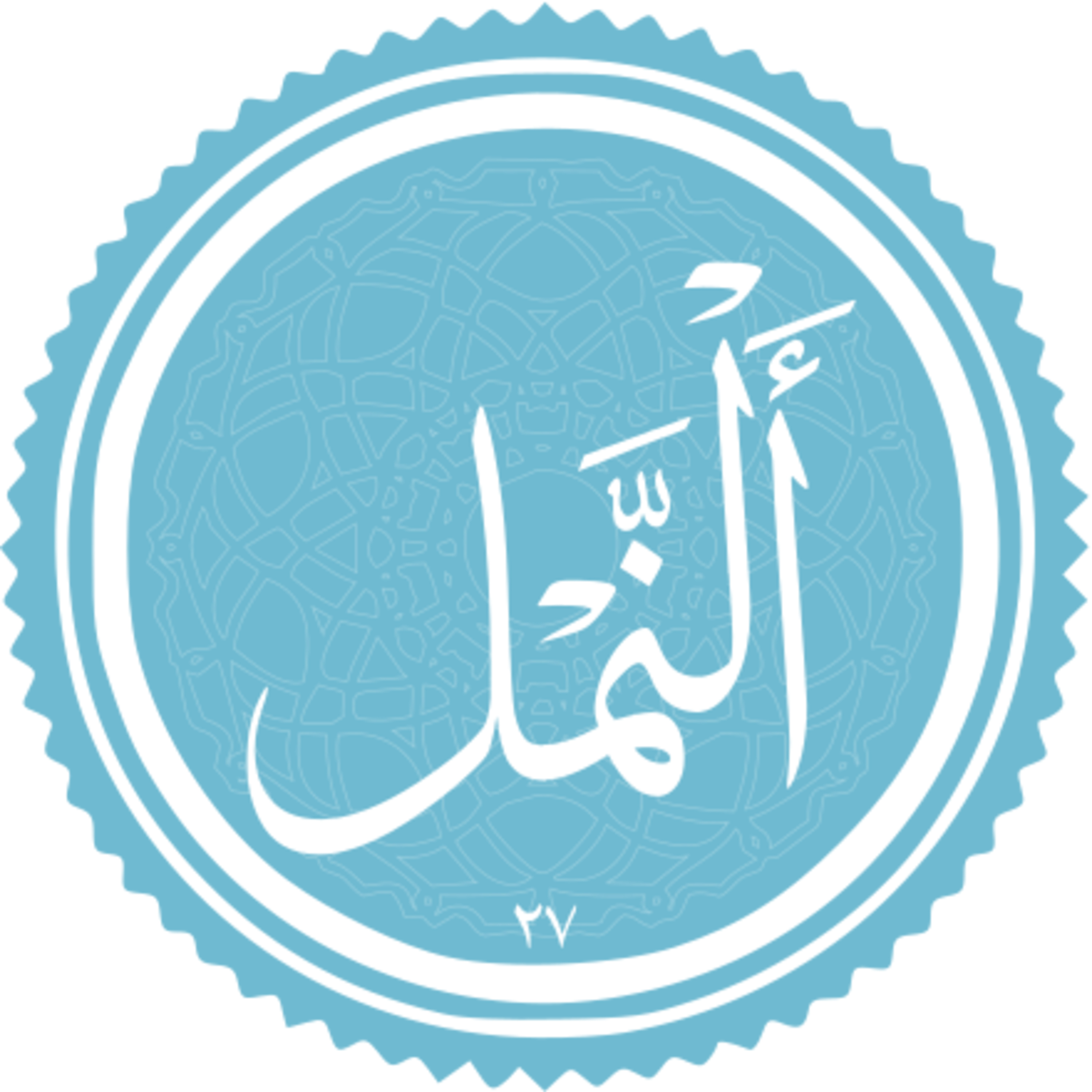 027 - ترتیل استاد غامدی - نمل