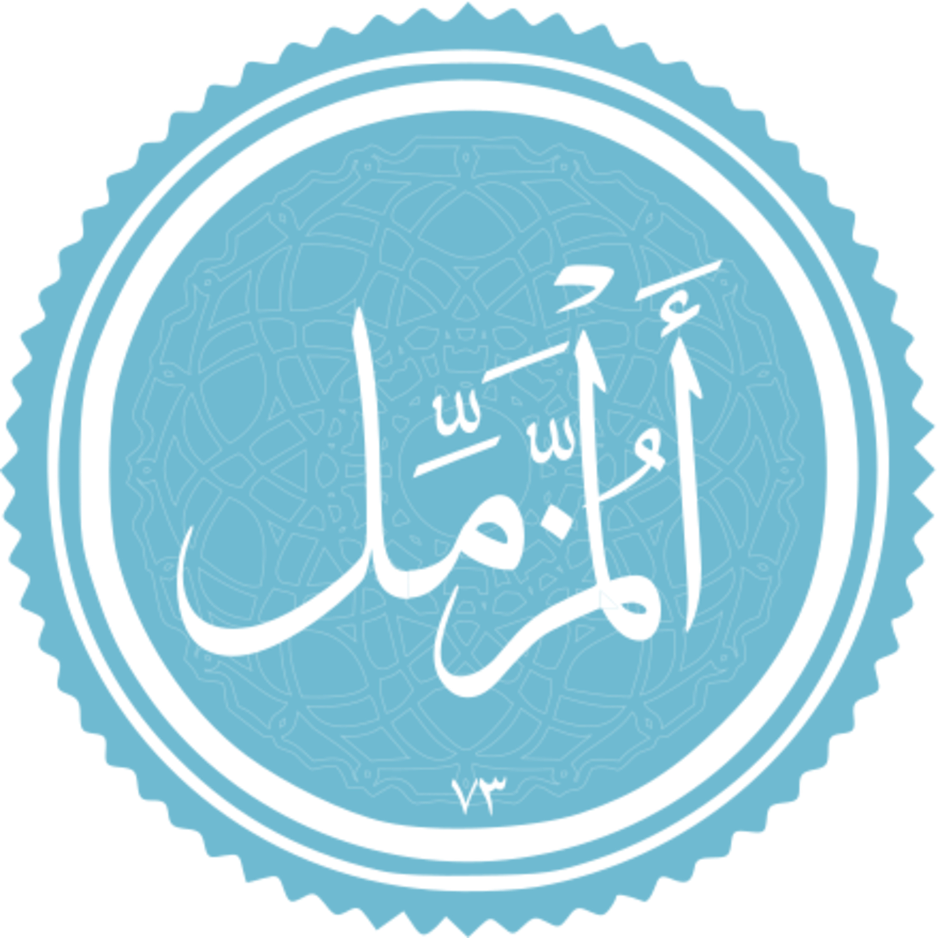 073 - ترتیل استاد غامدی و ترجمه گویای استاد قادر پناه - مزمل