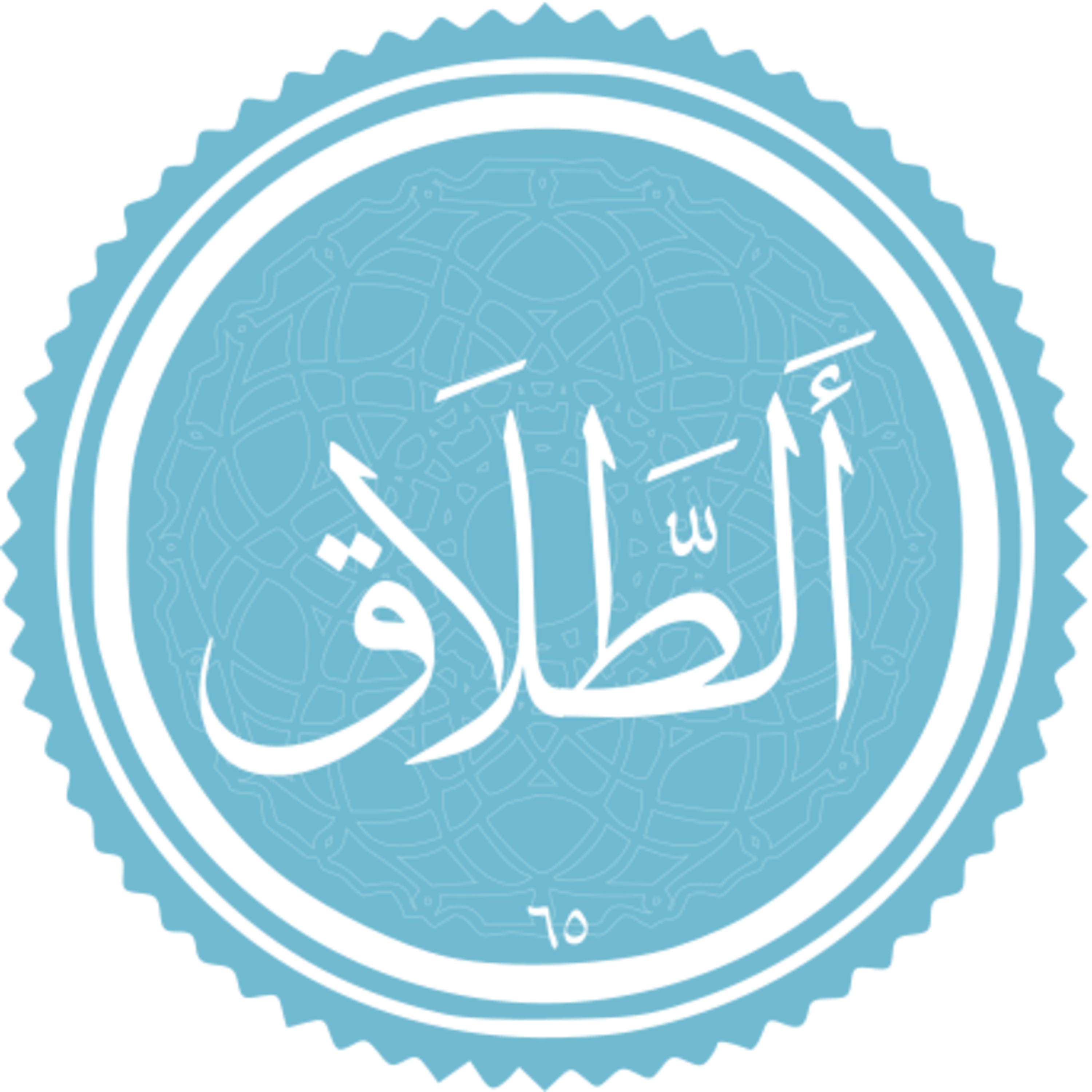 065 - ترتیل قرآن - استاد پرهیزکار - طلاق