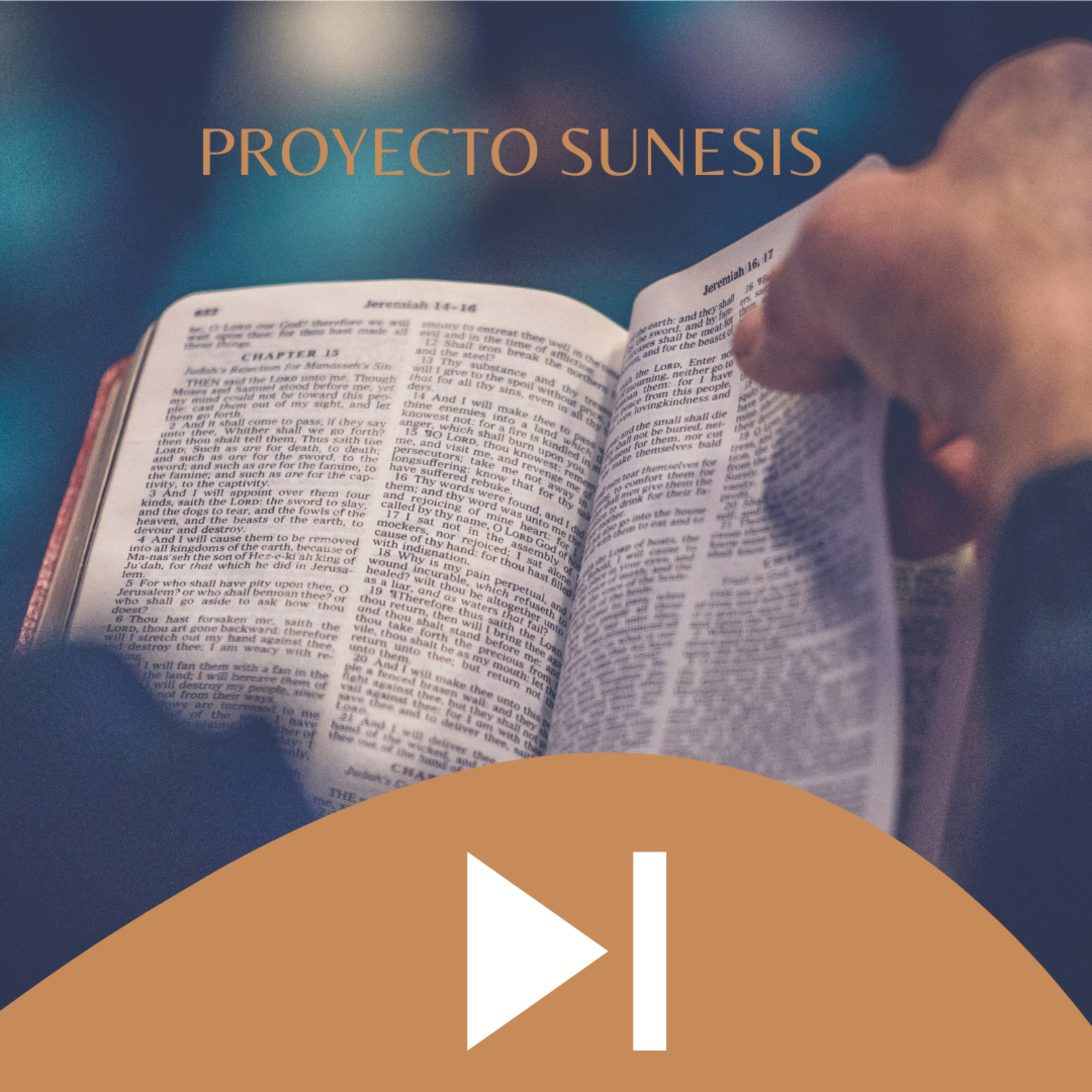 Proyecto Sunesis